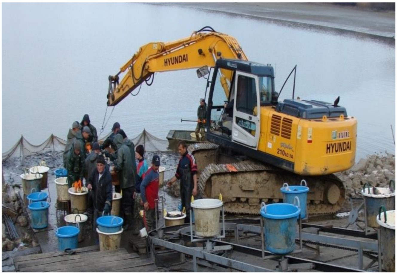 Life 12 01661 g047 550