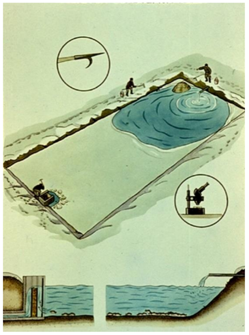 Life 12 01661 g048 550