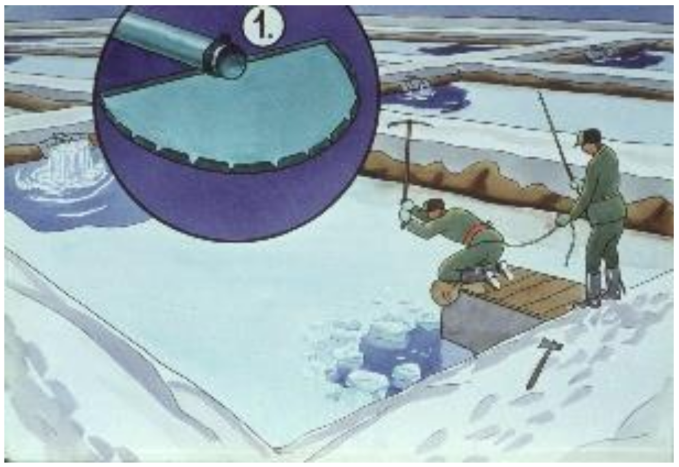 Life 12 01661 g049 550