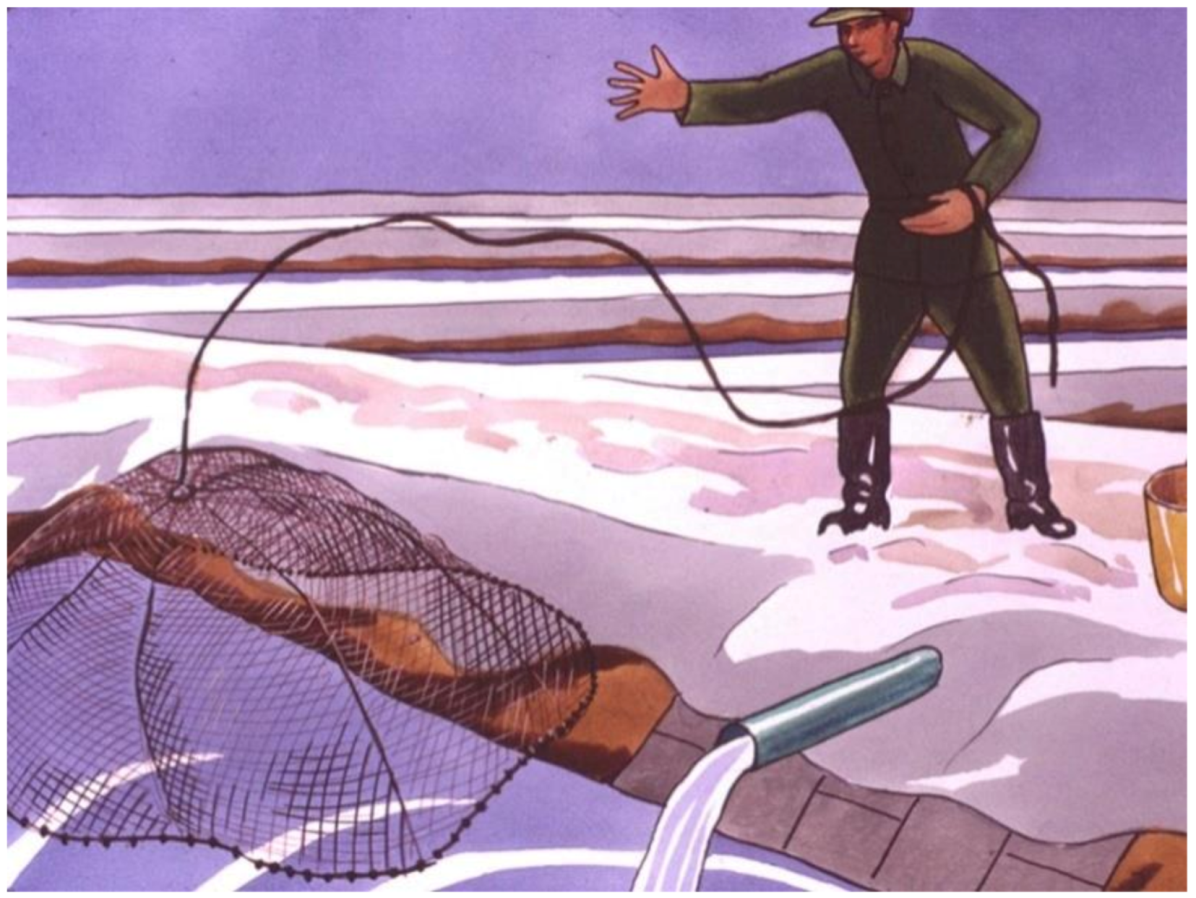 Life 12 01661 g050 550