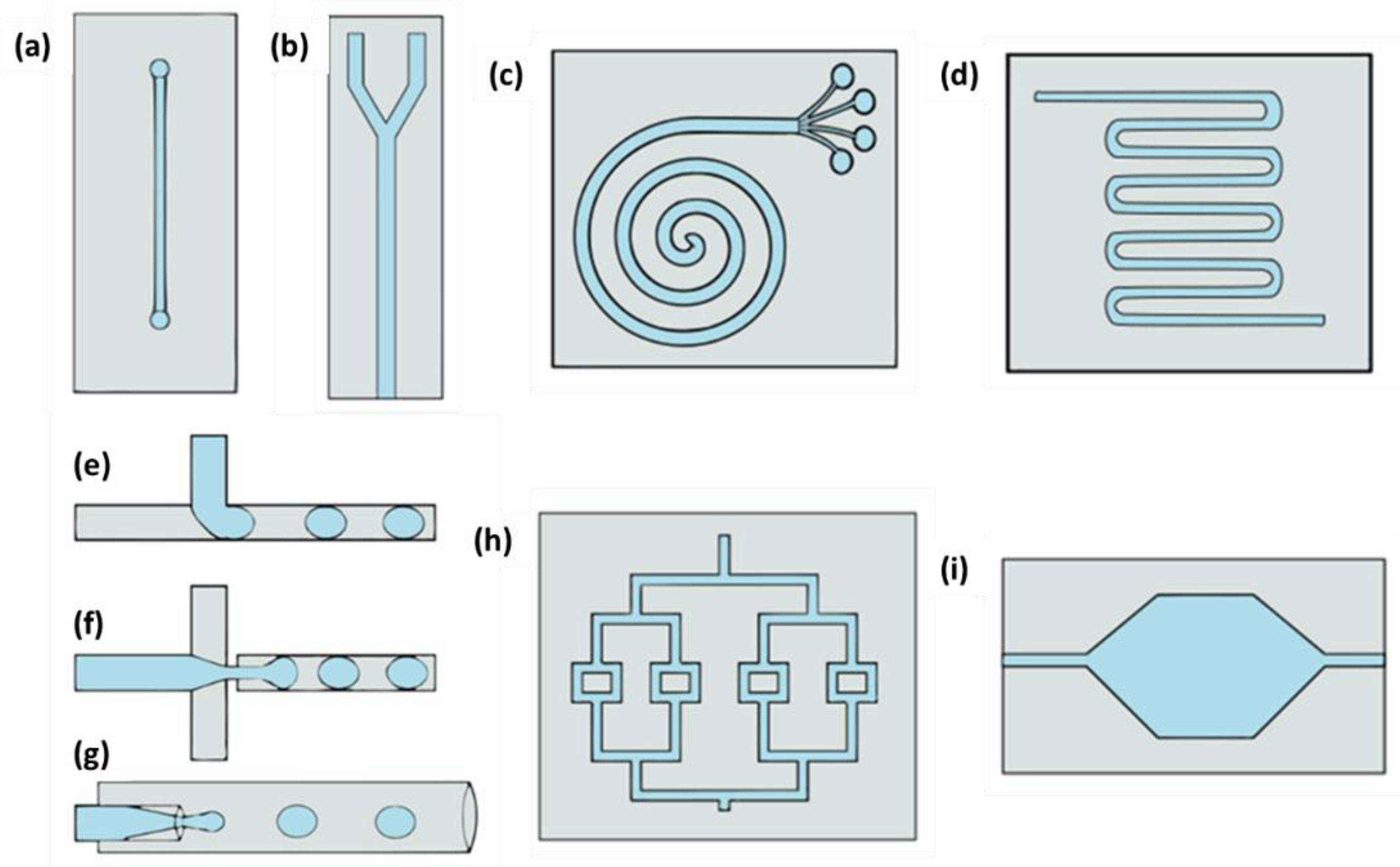 Life 12 01665 g001 Life 12 01665 g001