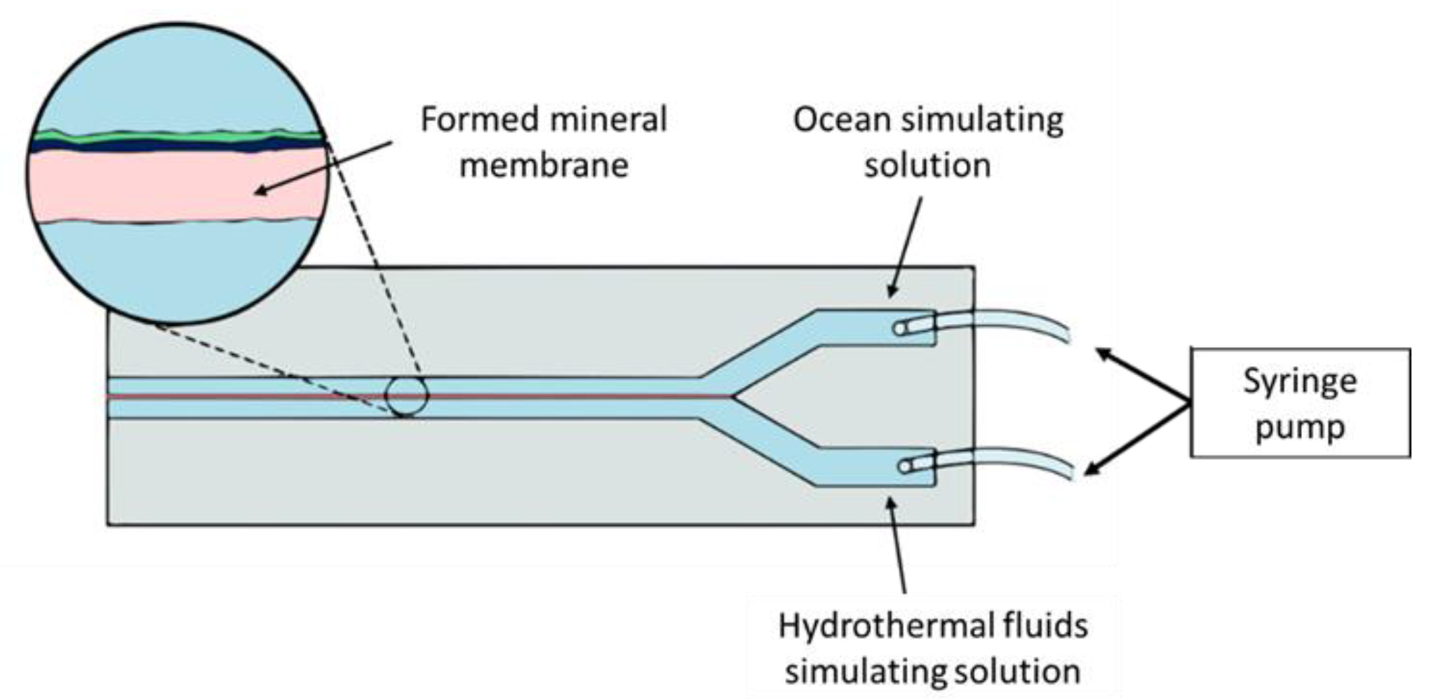 Life 12 01665 g002 Life 12 01665 g002