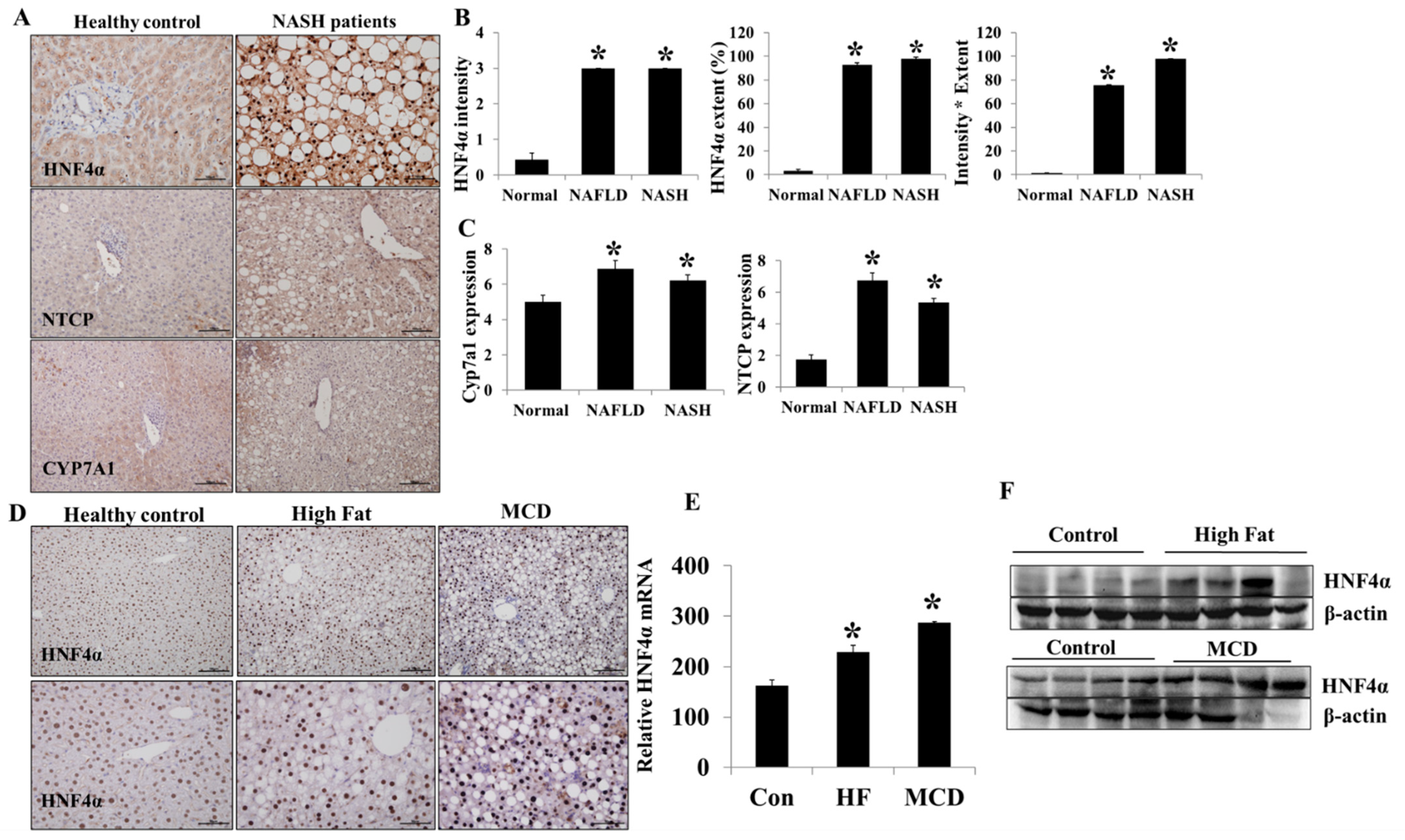Life 12 01682 g001 Life 12 01682 g001