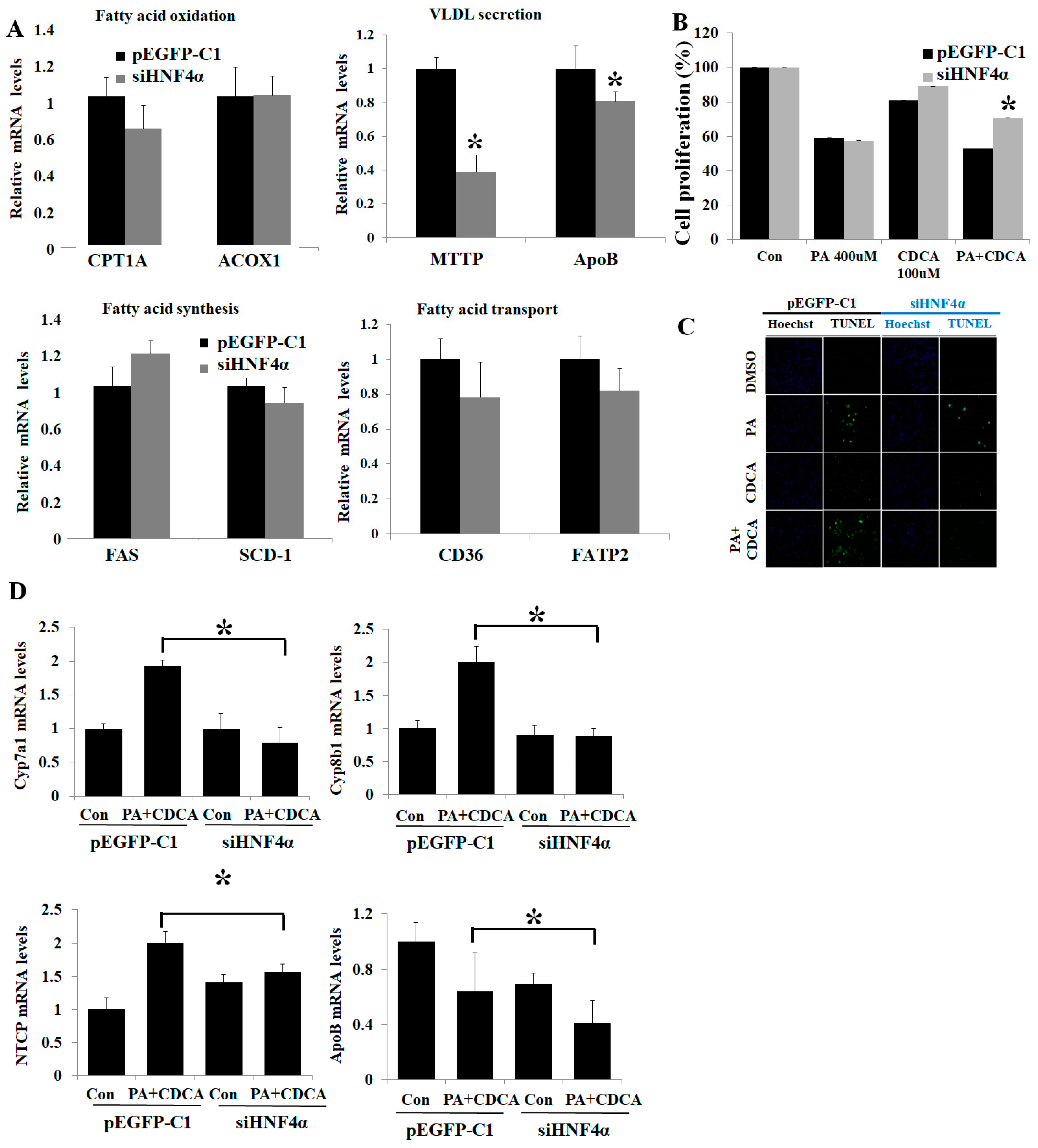 Life 12 01682 g003 Life 12 01682 g003