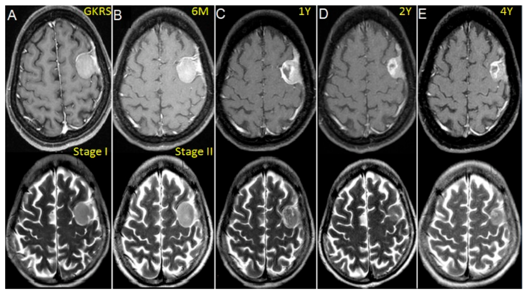 Life 12 01683 g005 Life 12 01683 g005