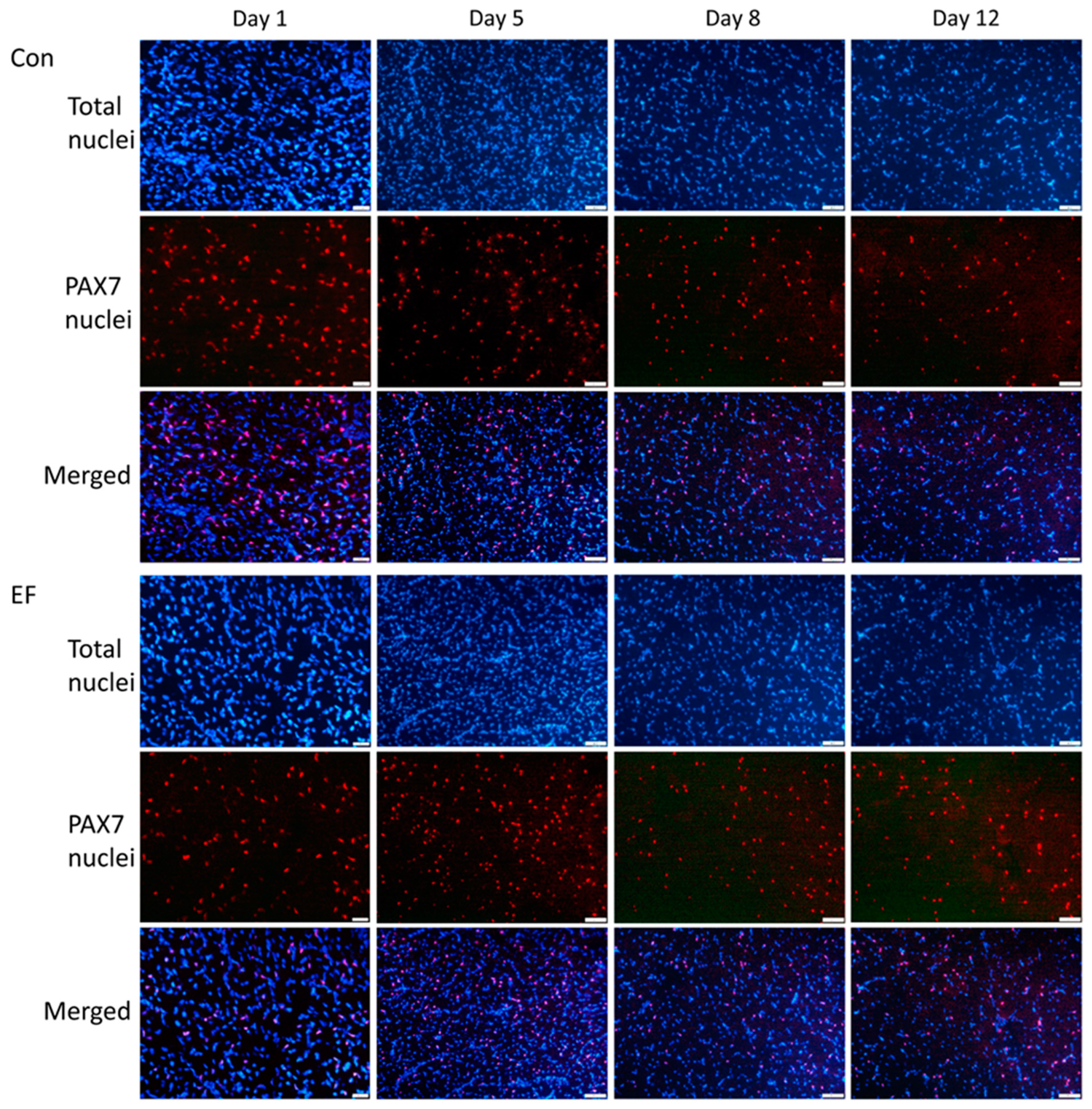 Life 12 01695 g003 Life 12 01695 g003