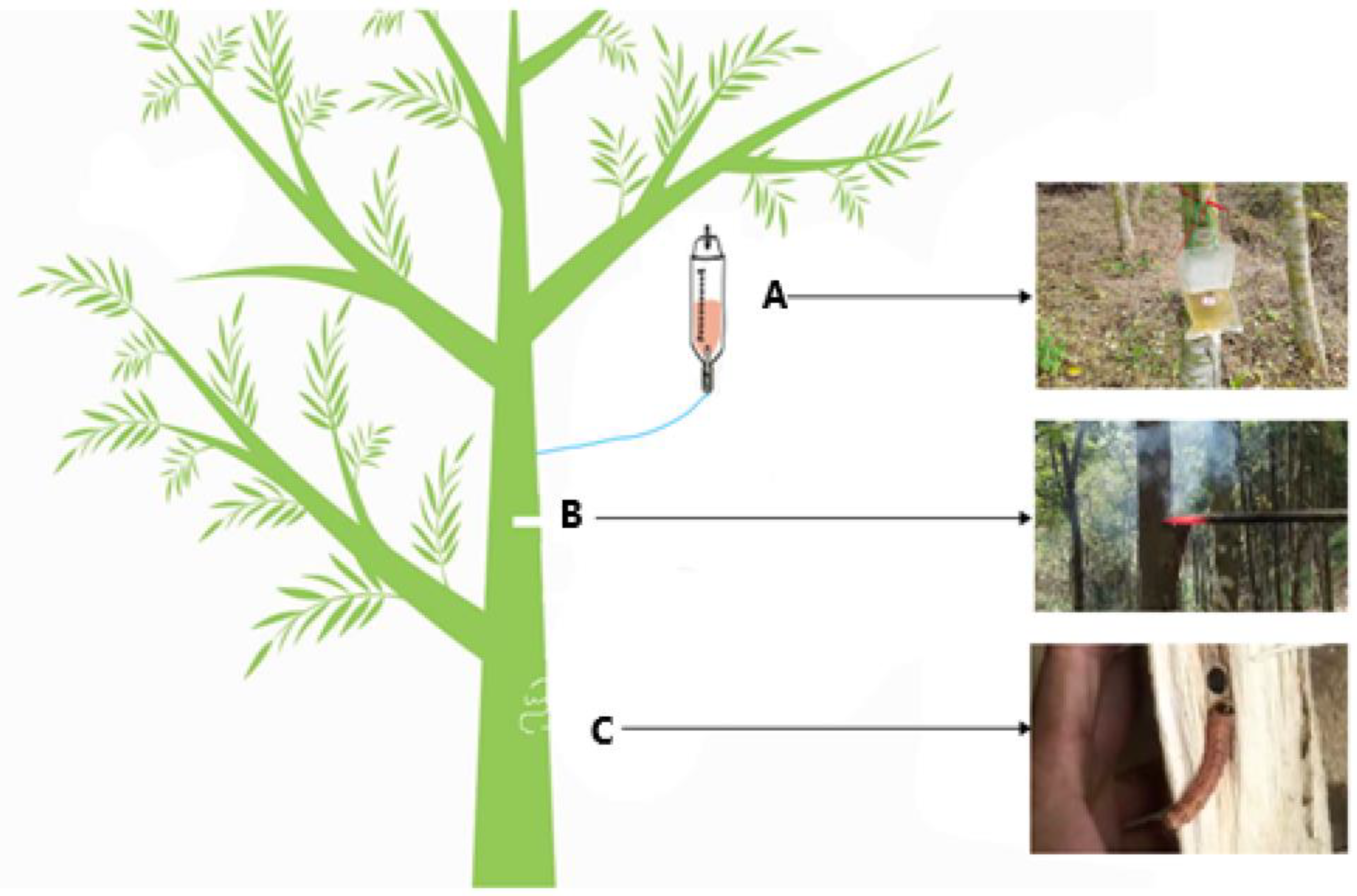 Life 12 01697 g001 Life 12 01697 g001