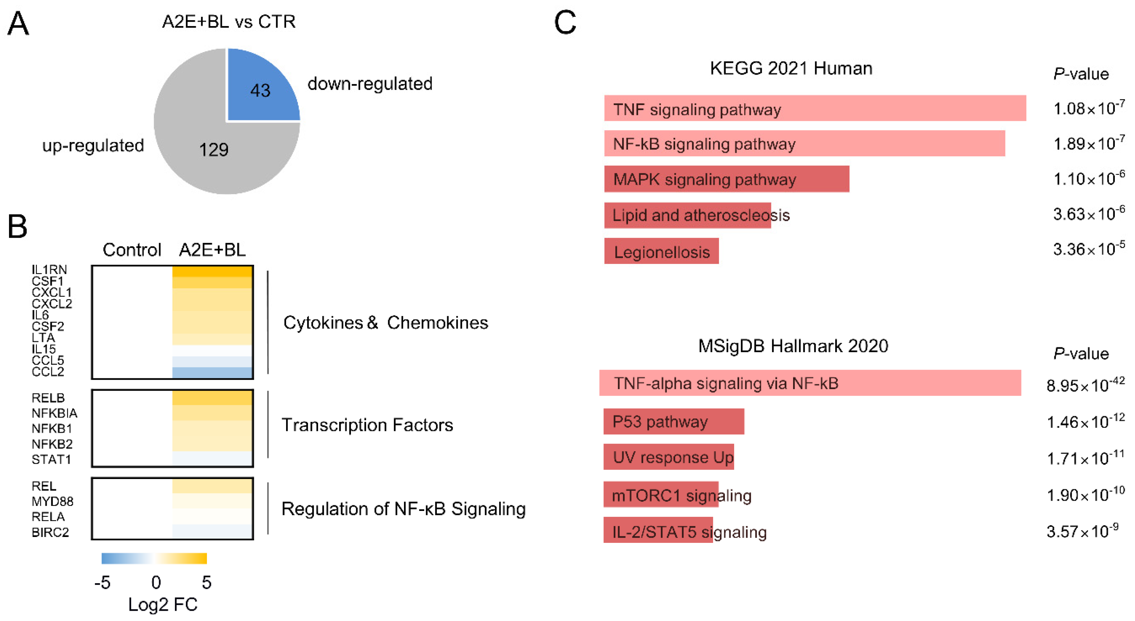 Life 12 01698 g001 Life 12 01698 g001