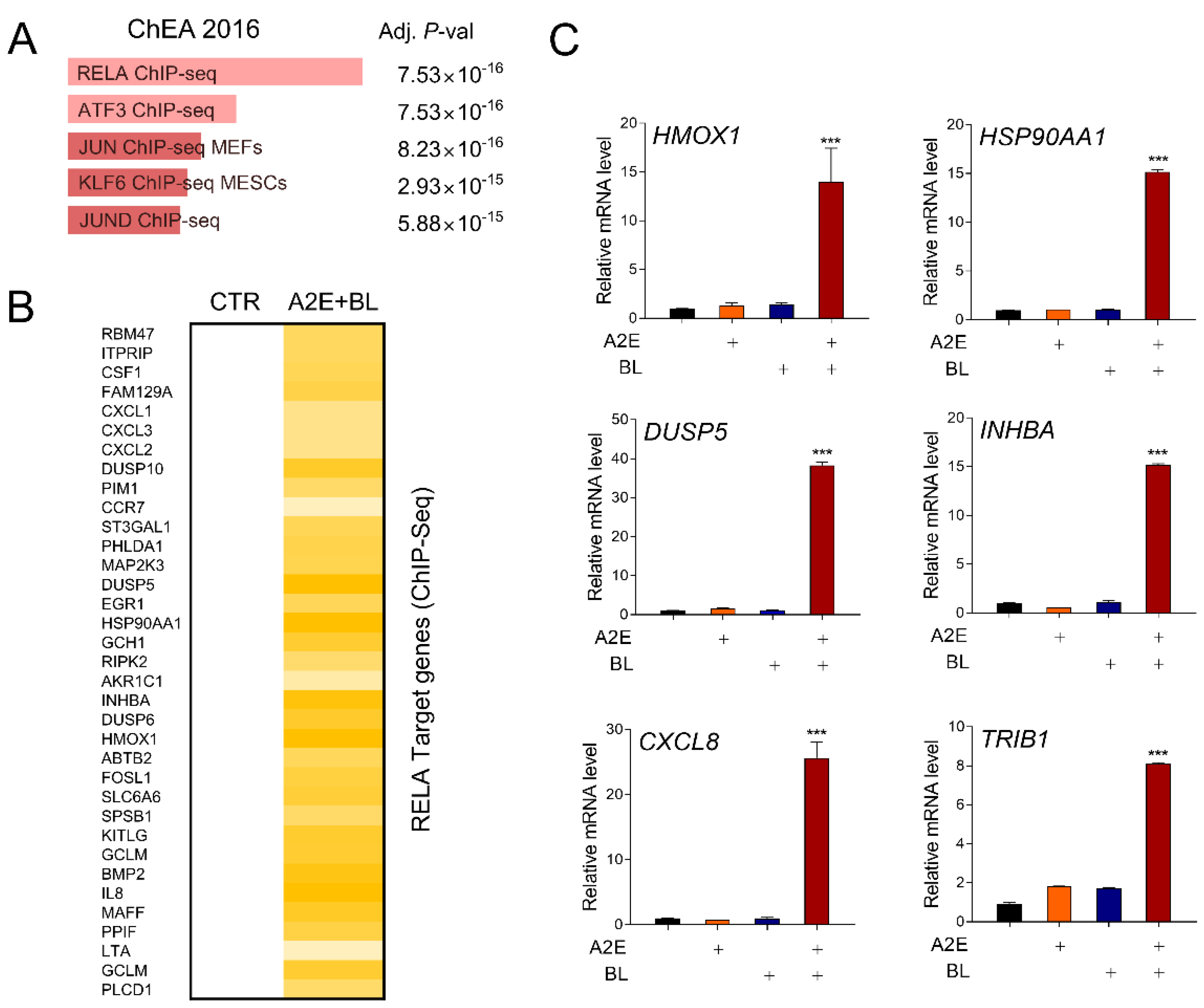 Life 12 01698 g002 Life 12 01698 g002