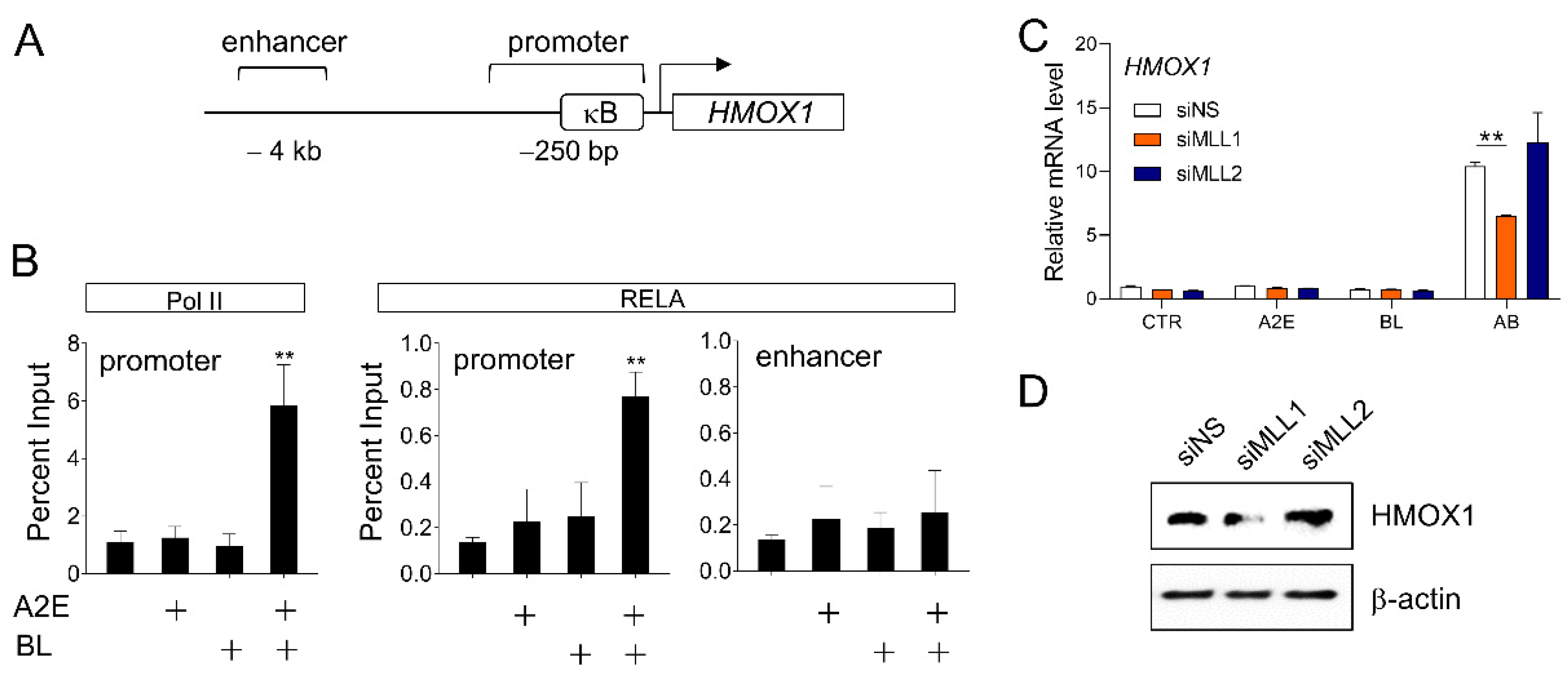 Life 12 01698 g003 Life 12 01698 g003