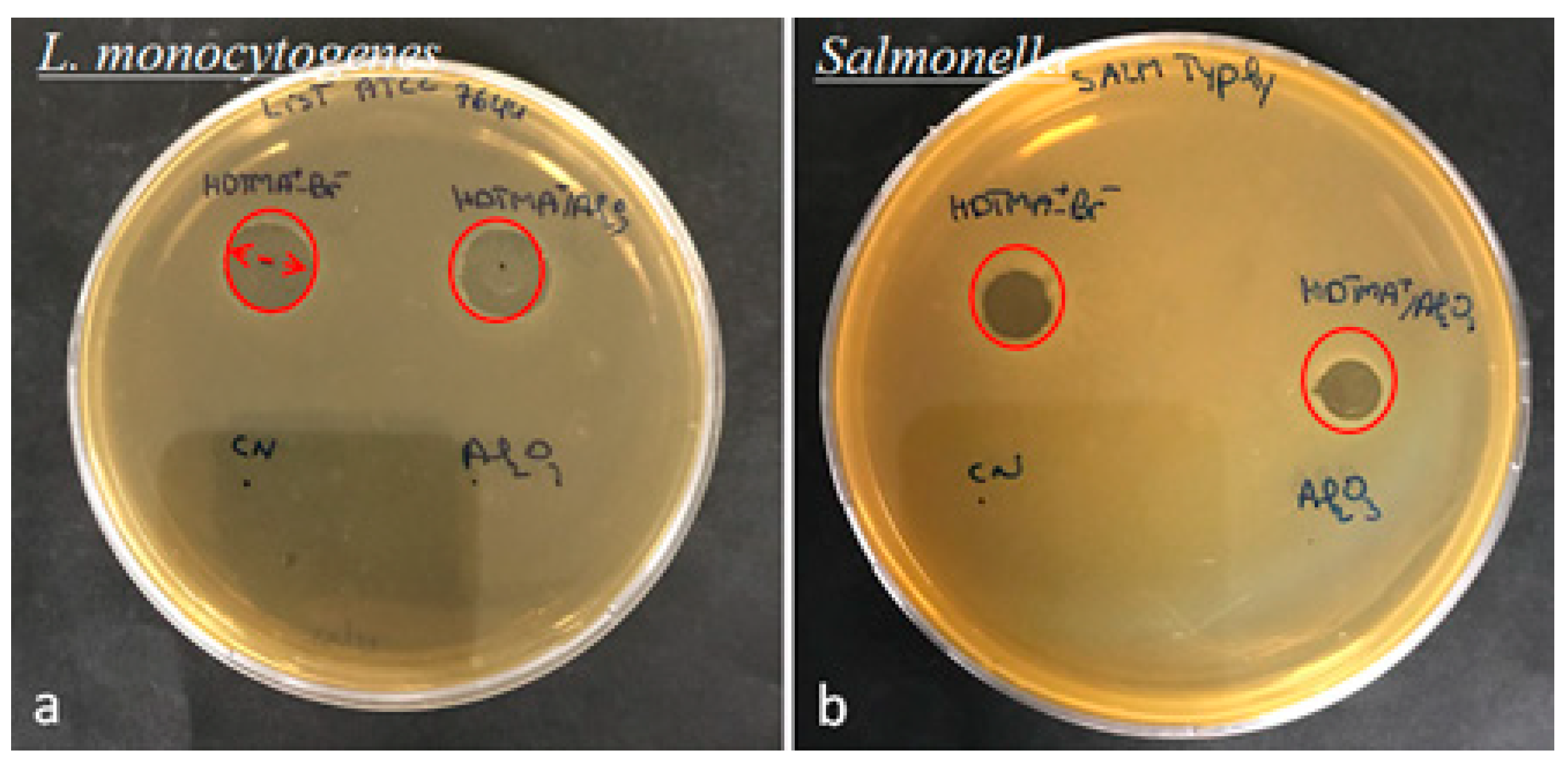 Life 12 01700 g012 Life 12 01700 g012