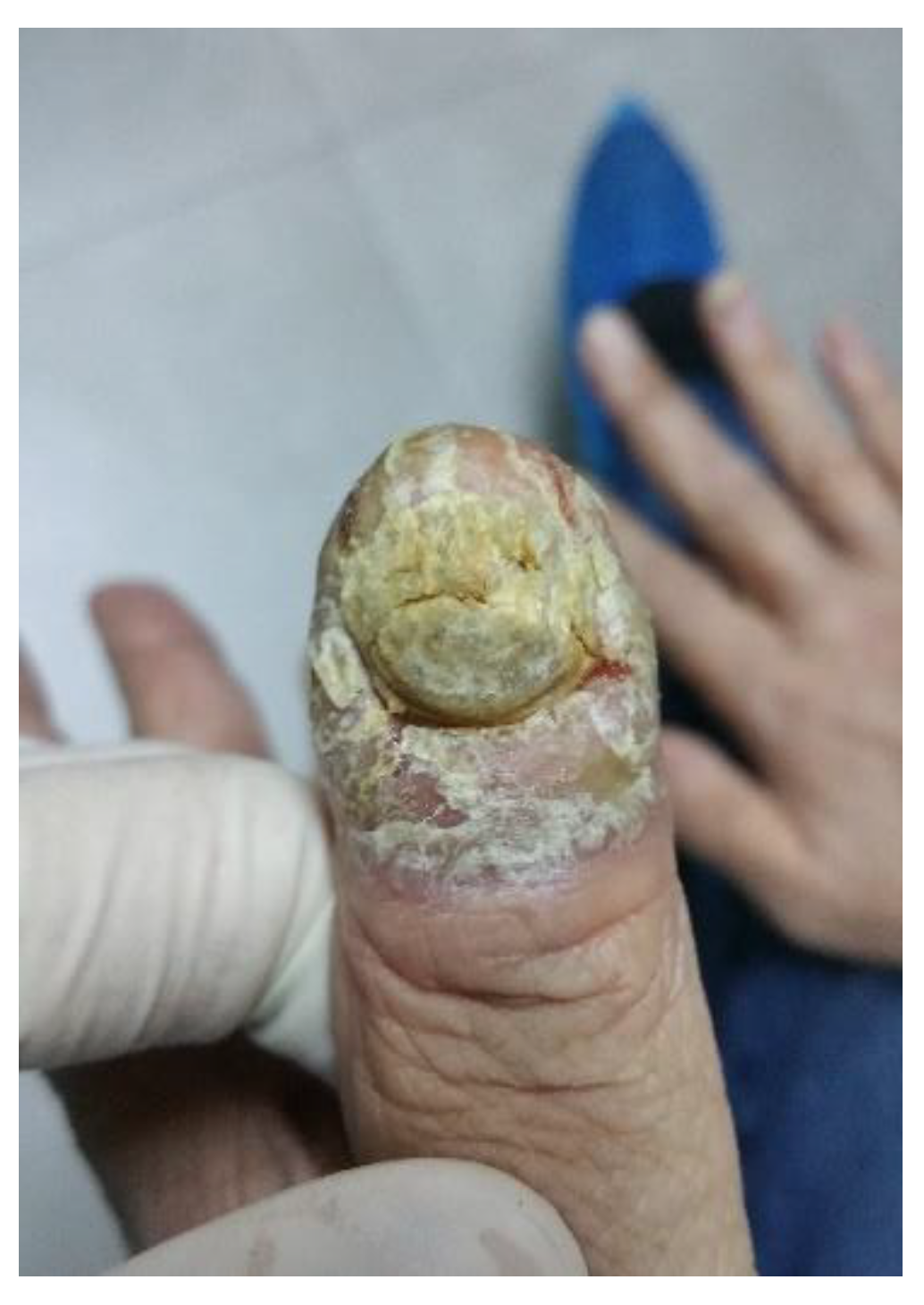 Life 12 01705 g001 Life 12 01705 g001