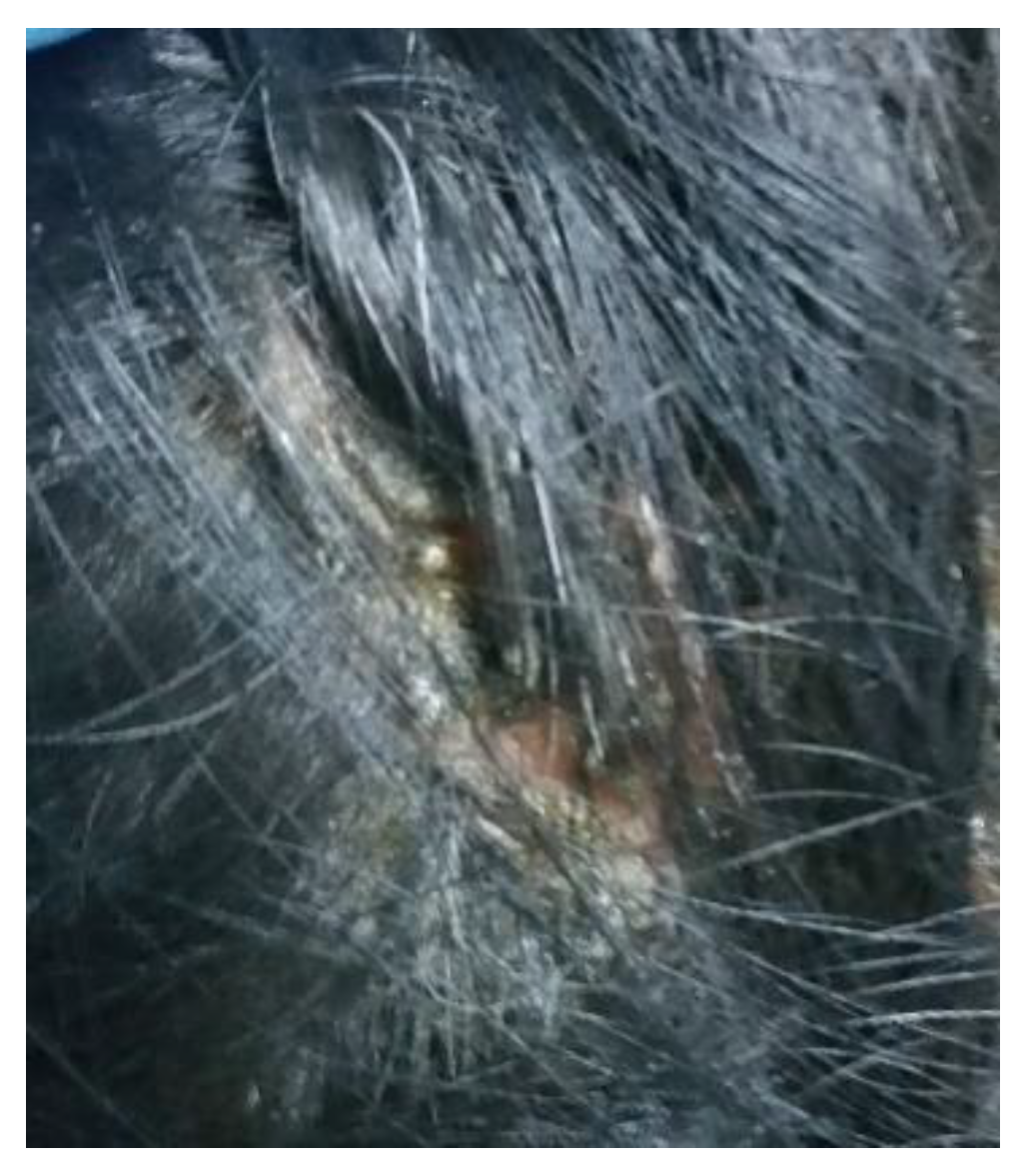 Life 12 01705 g002 Life 12 01705 g002