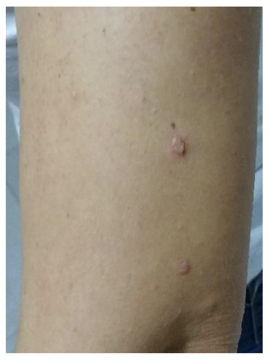 Life 12 01705 g003 Life 12 01705 g003