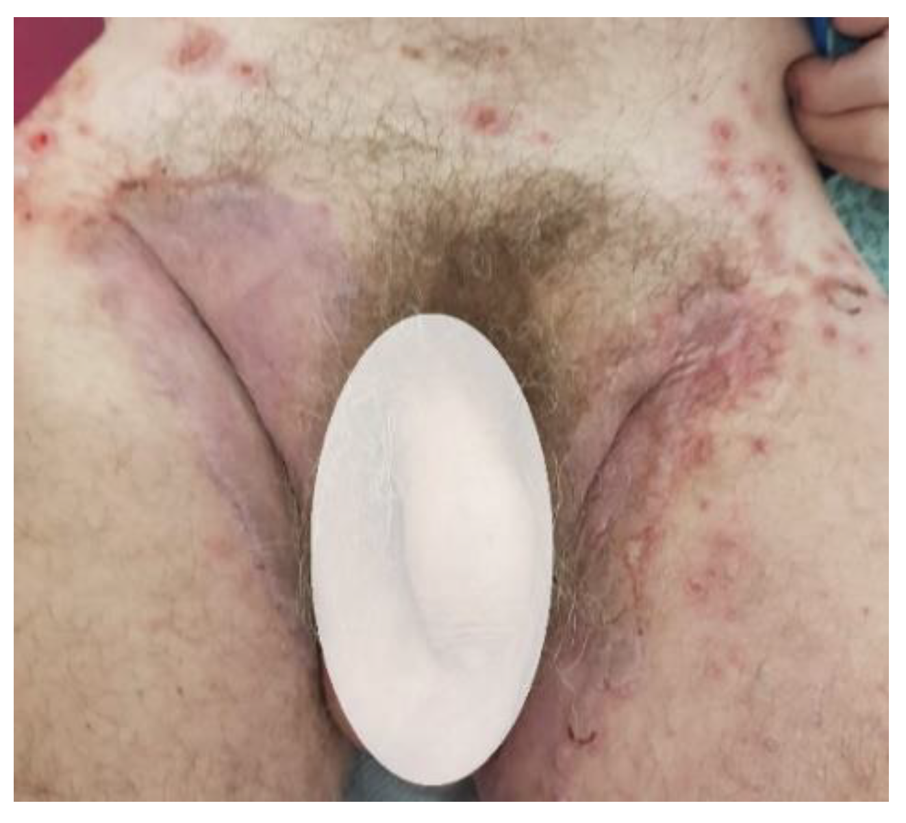 Life 12 01705 g004 Life 12 01705 g004