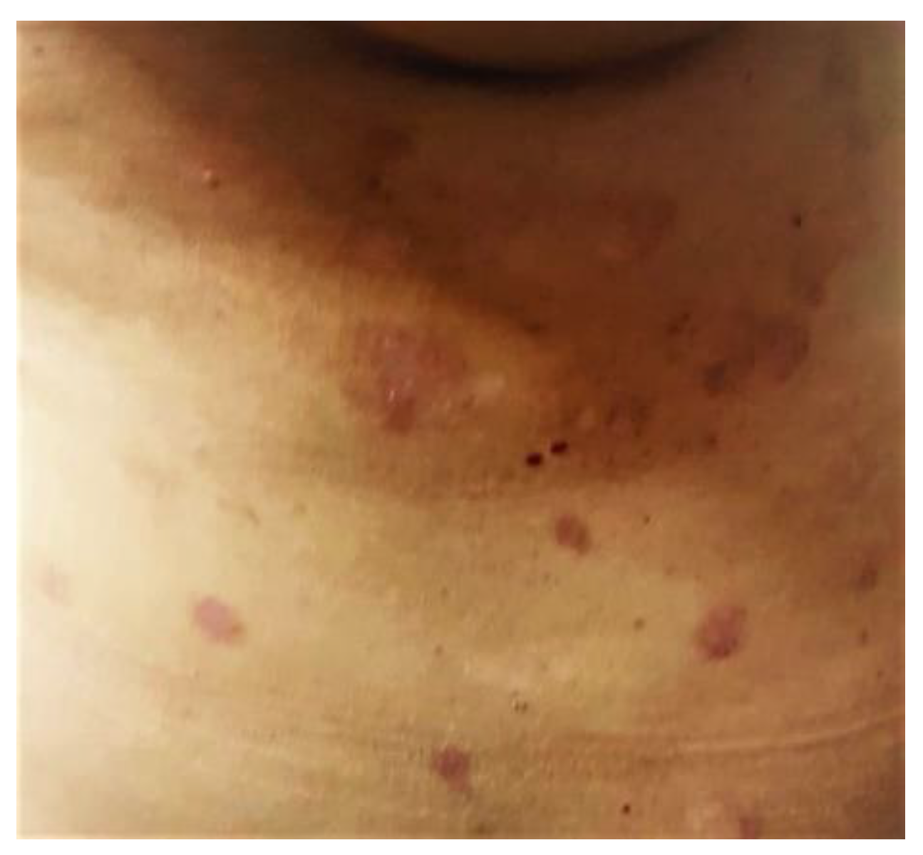 Life 12 01705 g005 Life 12 01705 g005