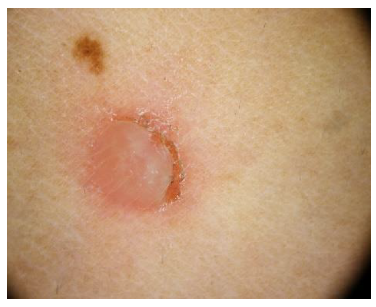 Life 12 01705 g006 Life 12 01705 g006