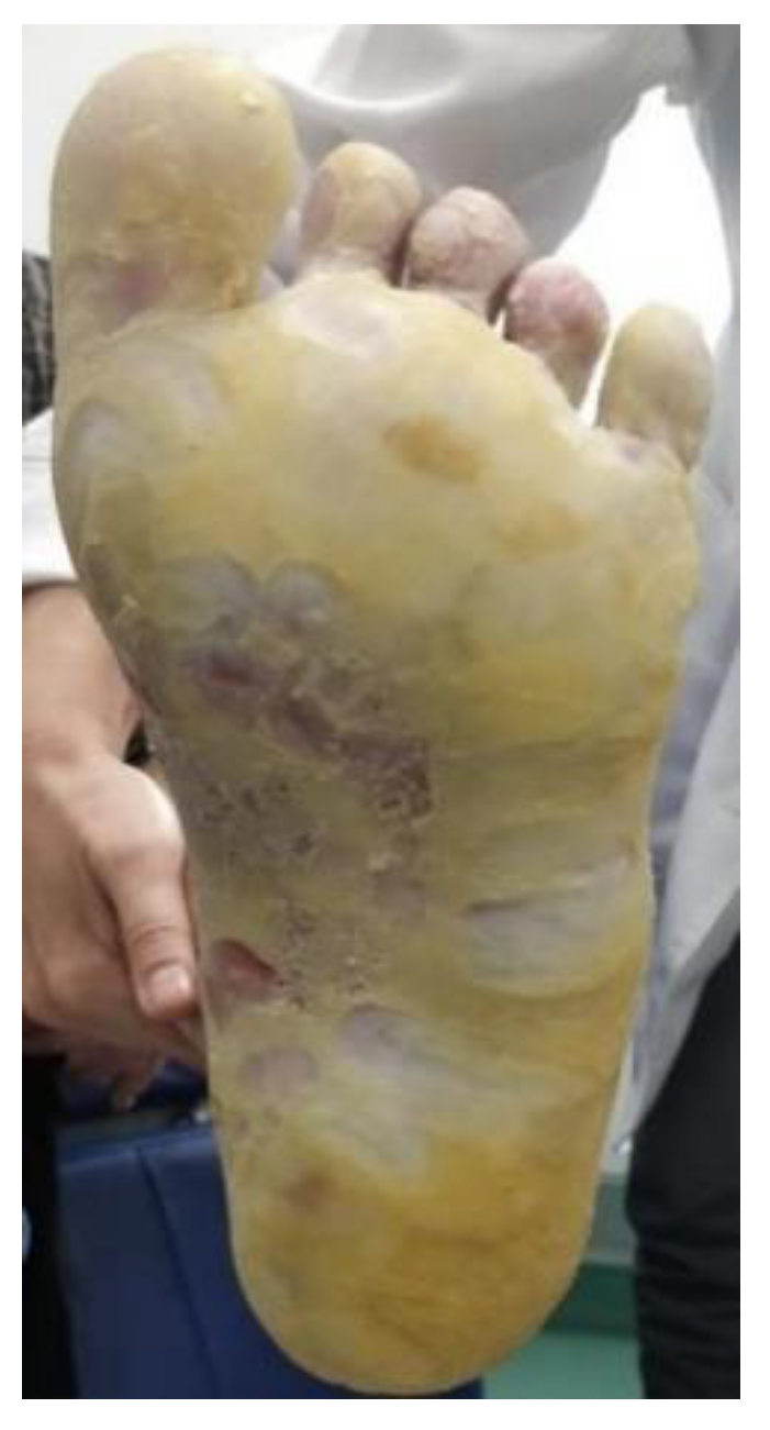 Life 12 01705 g008 Life 12 01705 g008