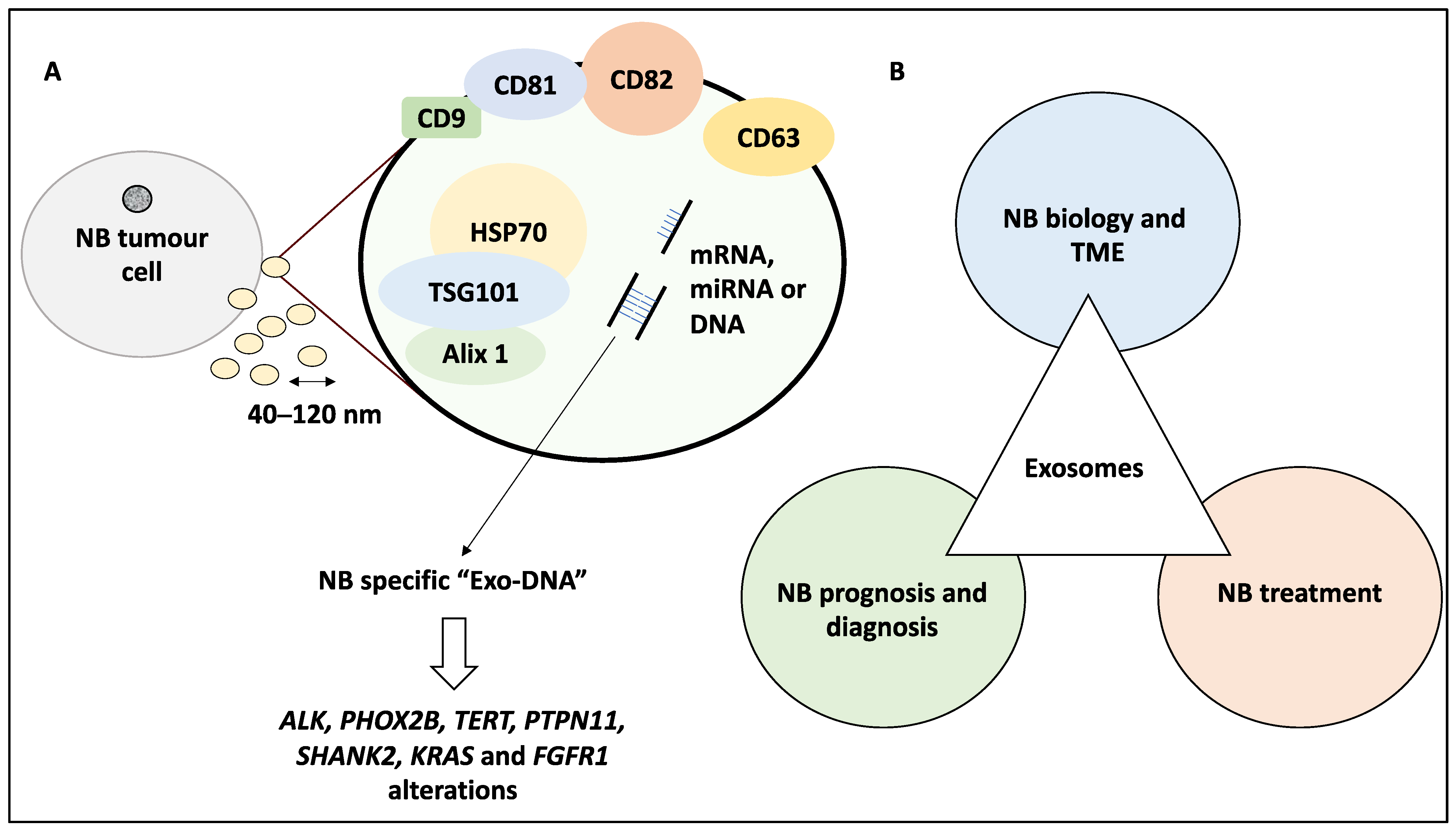 Life 12 01714 g001 Life 12 01714 g001
