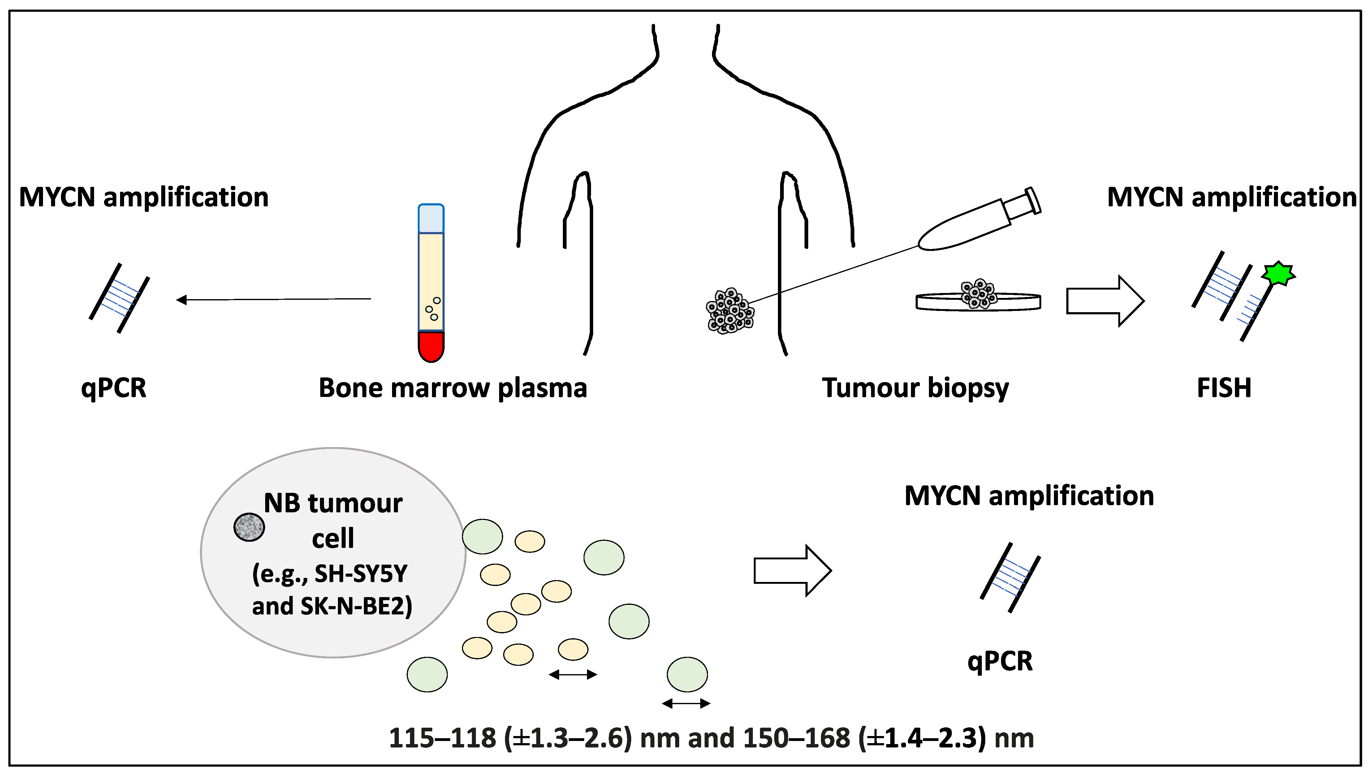 Life 12 01714 g003 Life 12 01714 g003