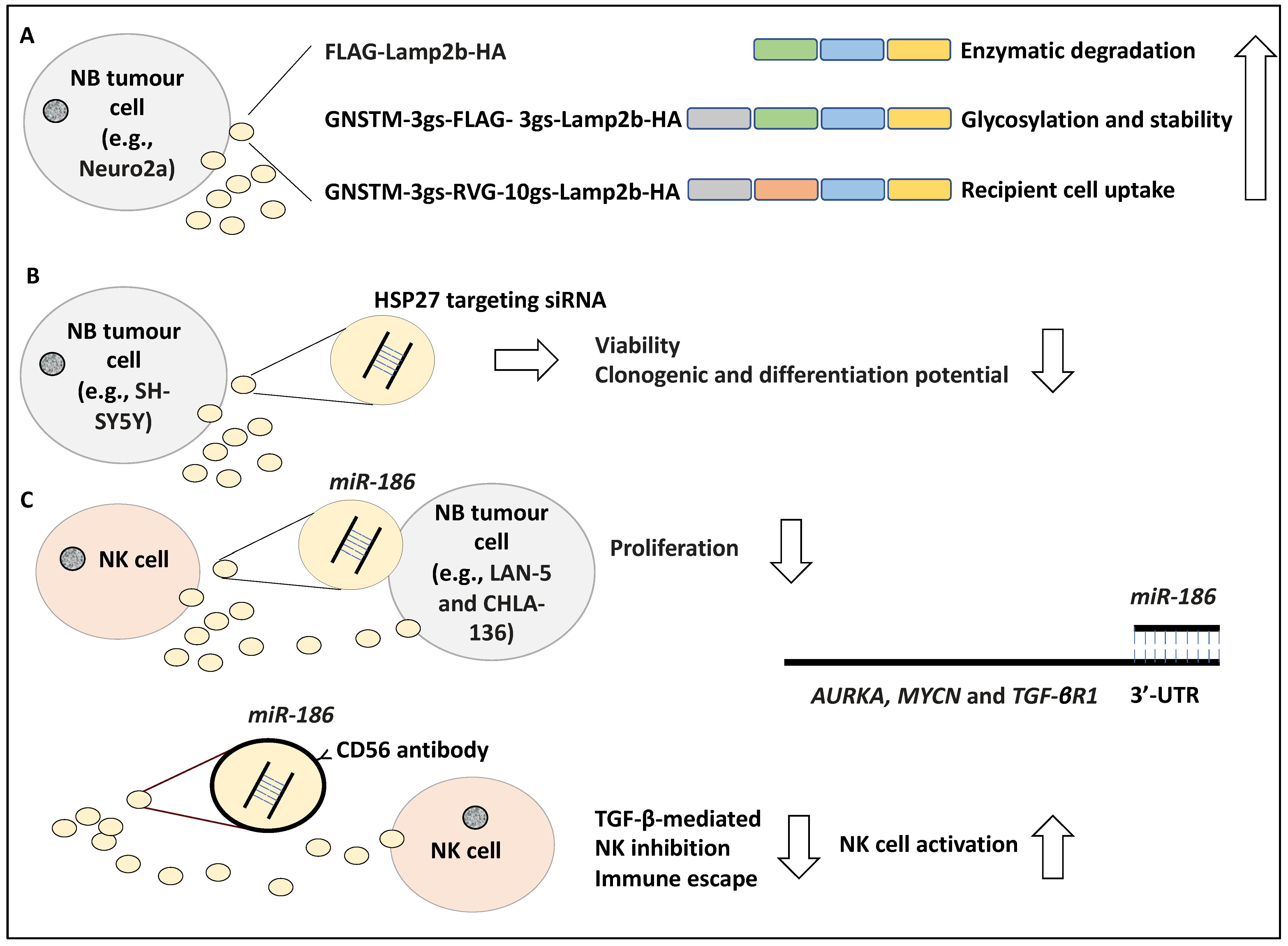 Life 12 01714 g004 Life 12 01714 g004