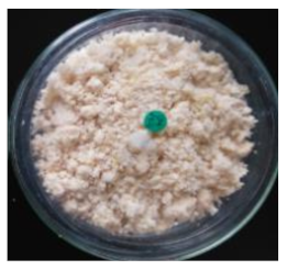 Life 12 01716 i001 Life 12 01716 i001