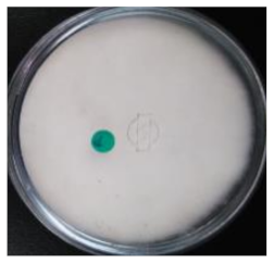 Life 12 01716 i002 Life 12 01716 i002