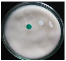 Life 12 01716 i004 Life 12 01716 i004