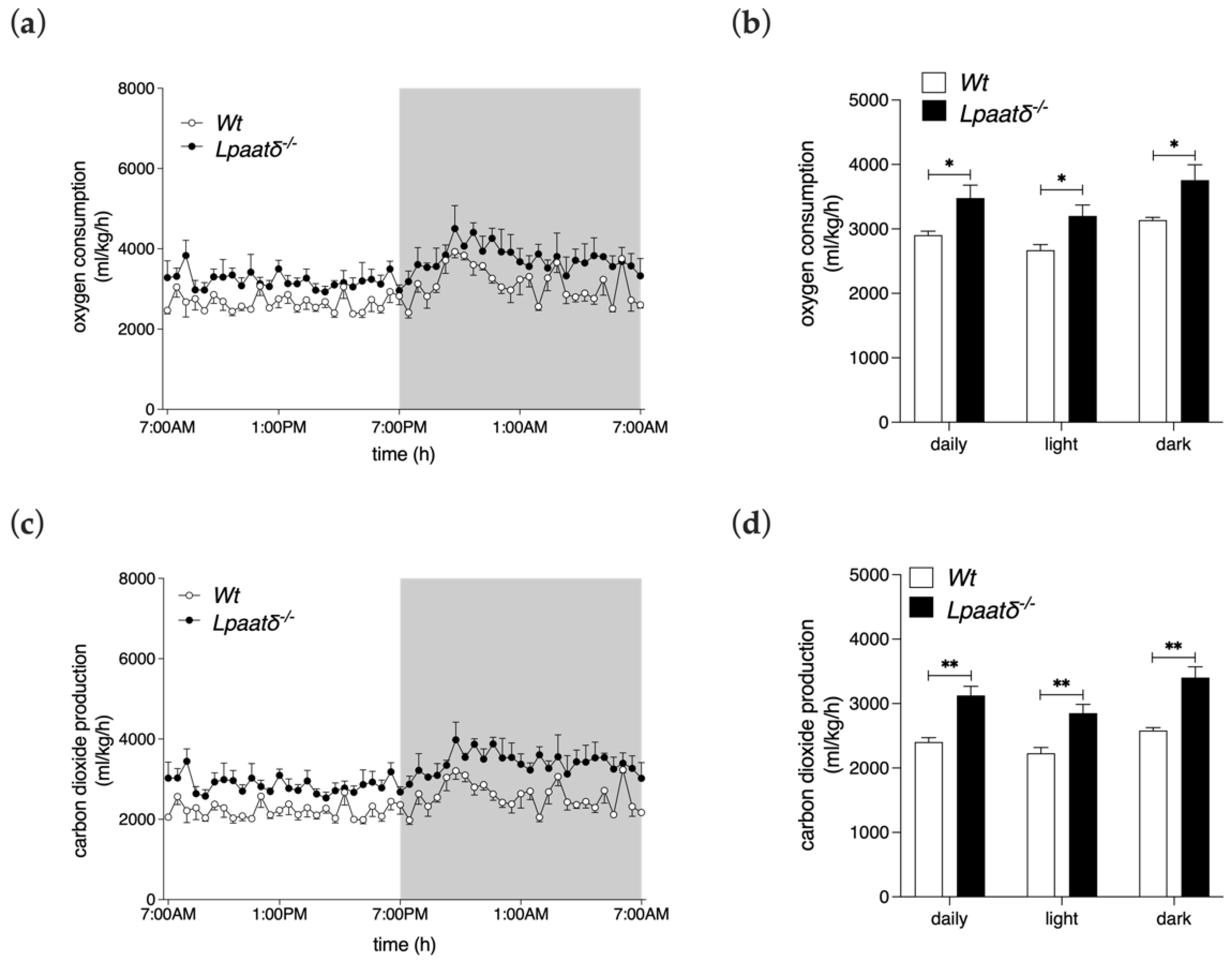 Life 12 01717 g002 Life 12 01717 g002