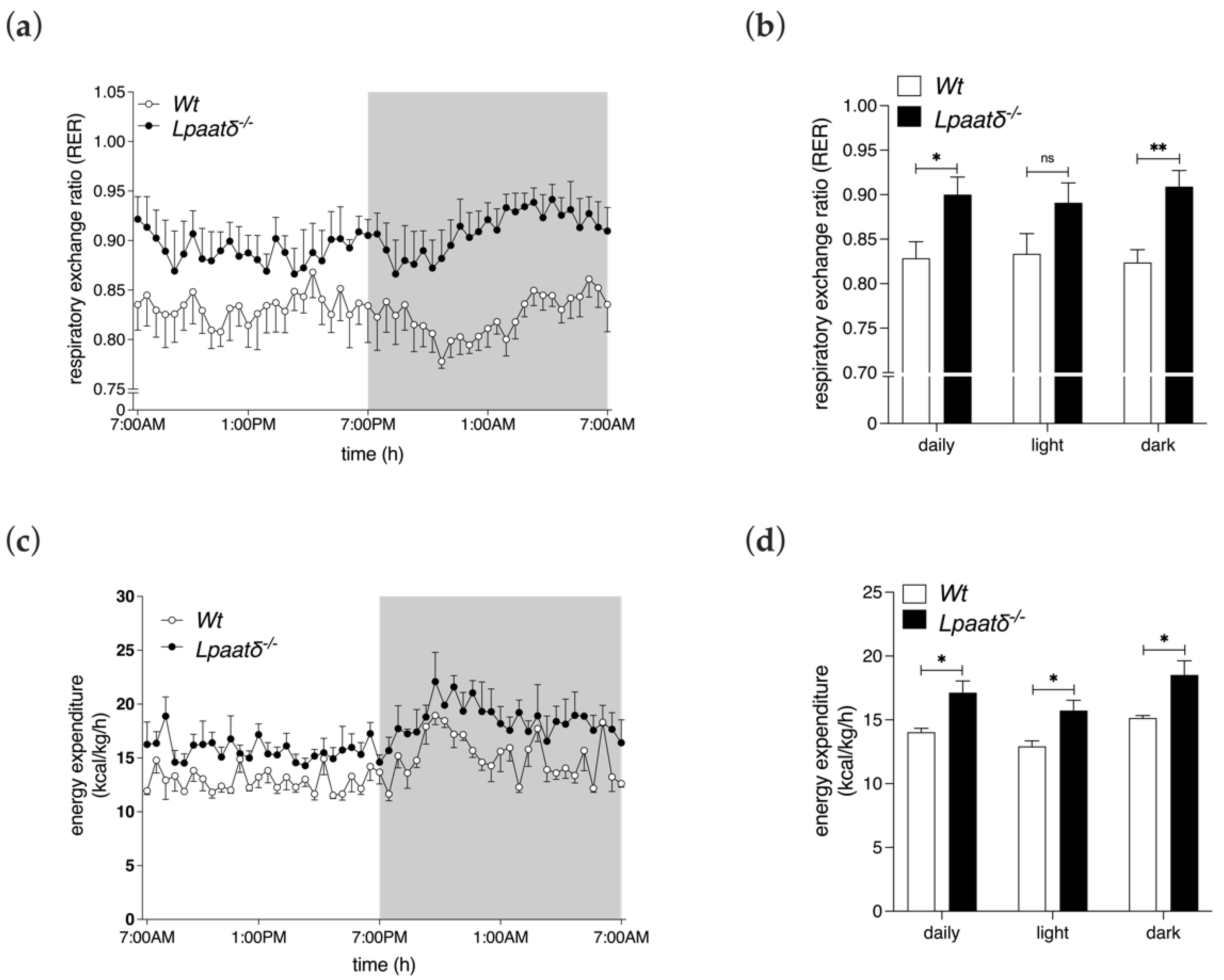 Life 12 01717 g003 Life 12 01717 g003