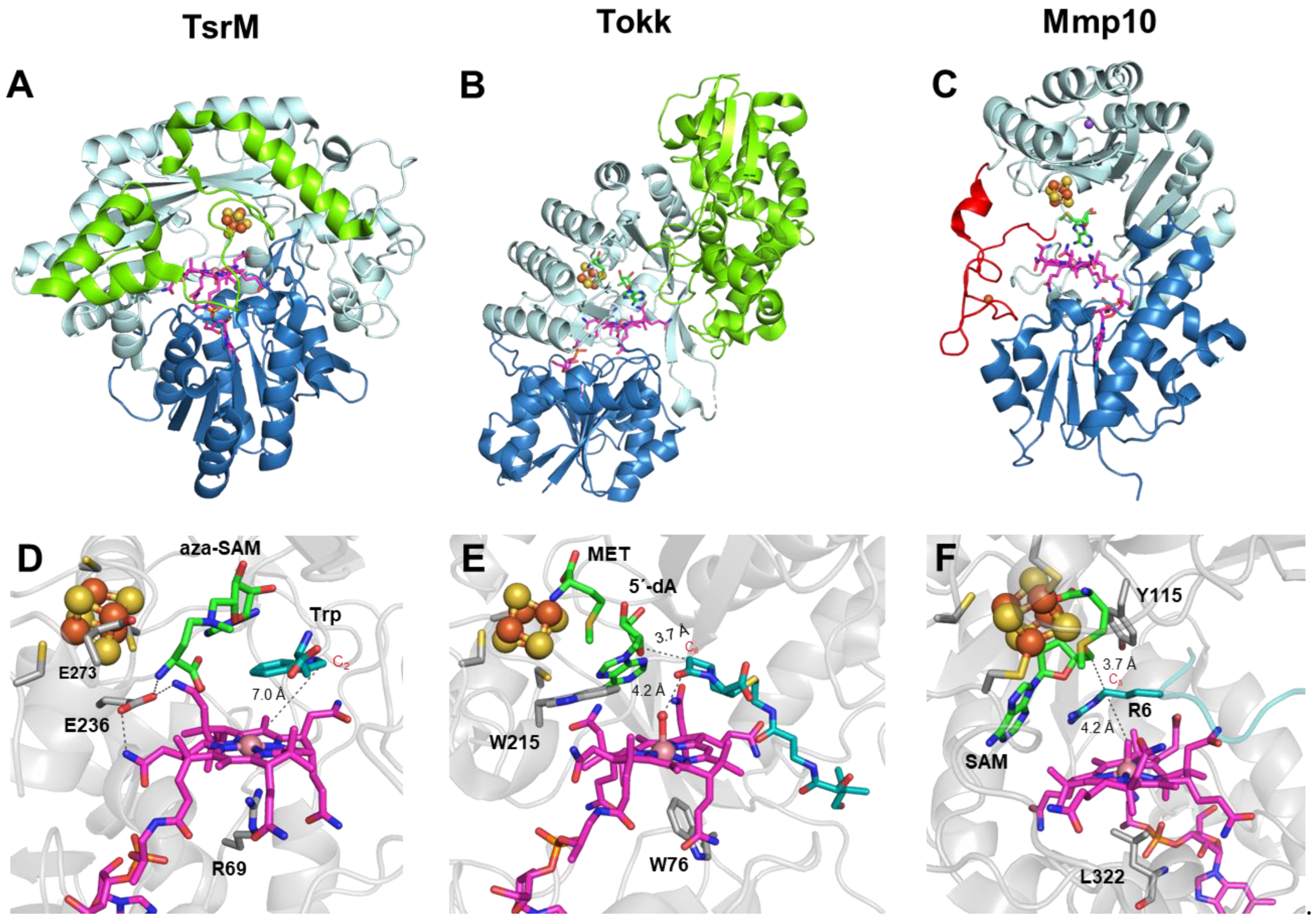 Life 12 01732 g004 Life 12 01732 g004