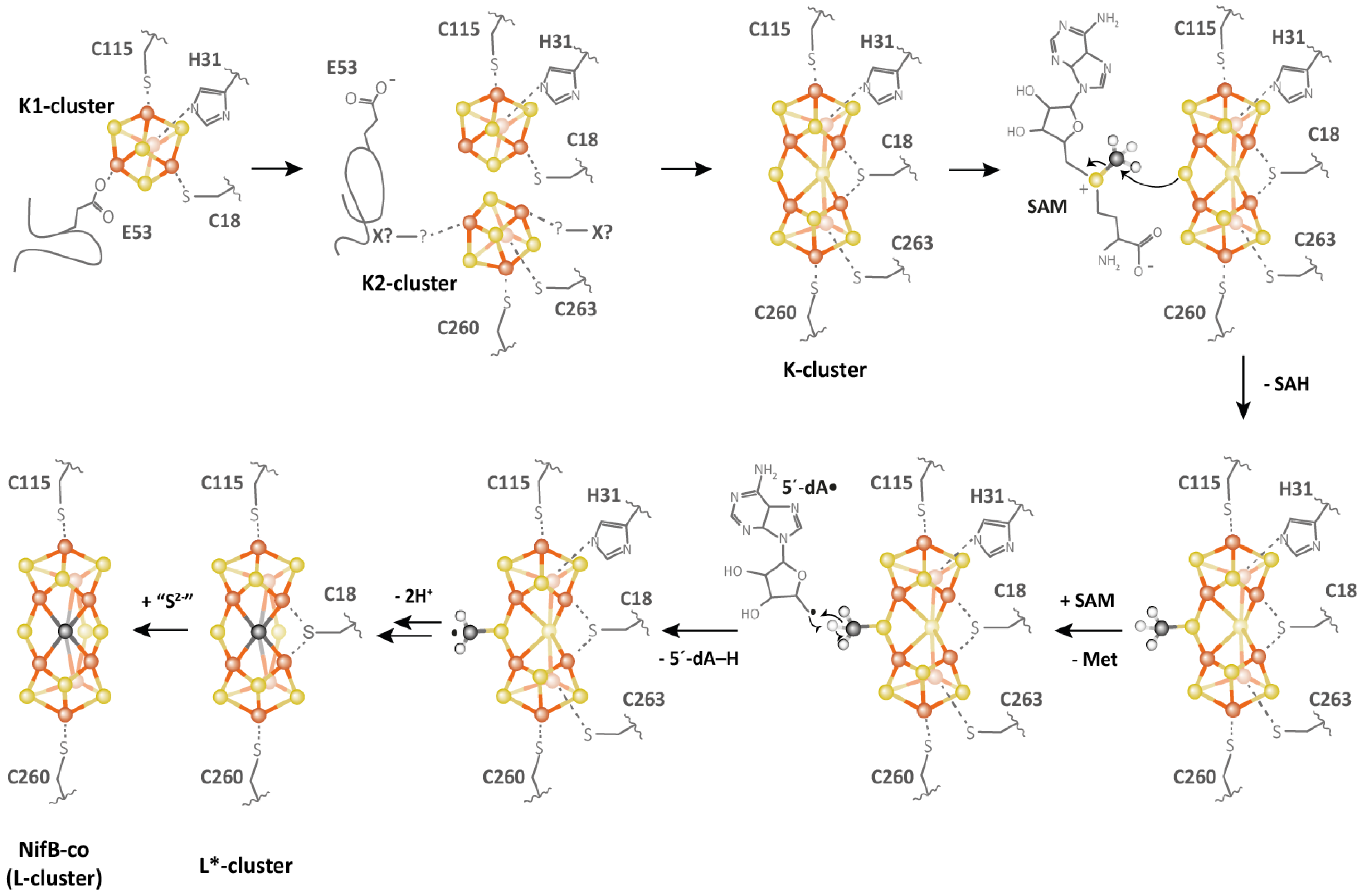 Life 12 01732 g007 Life 12 01732 g007
