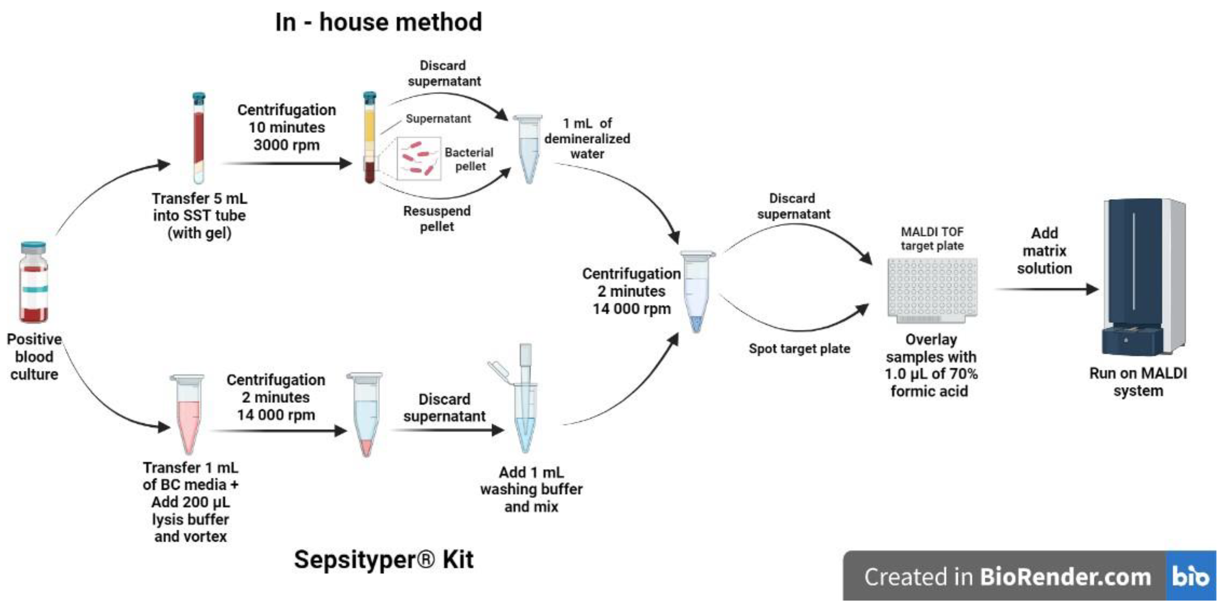 Blood Culture Ngtd - 7vhpv18