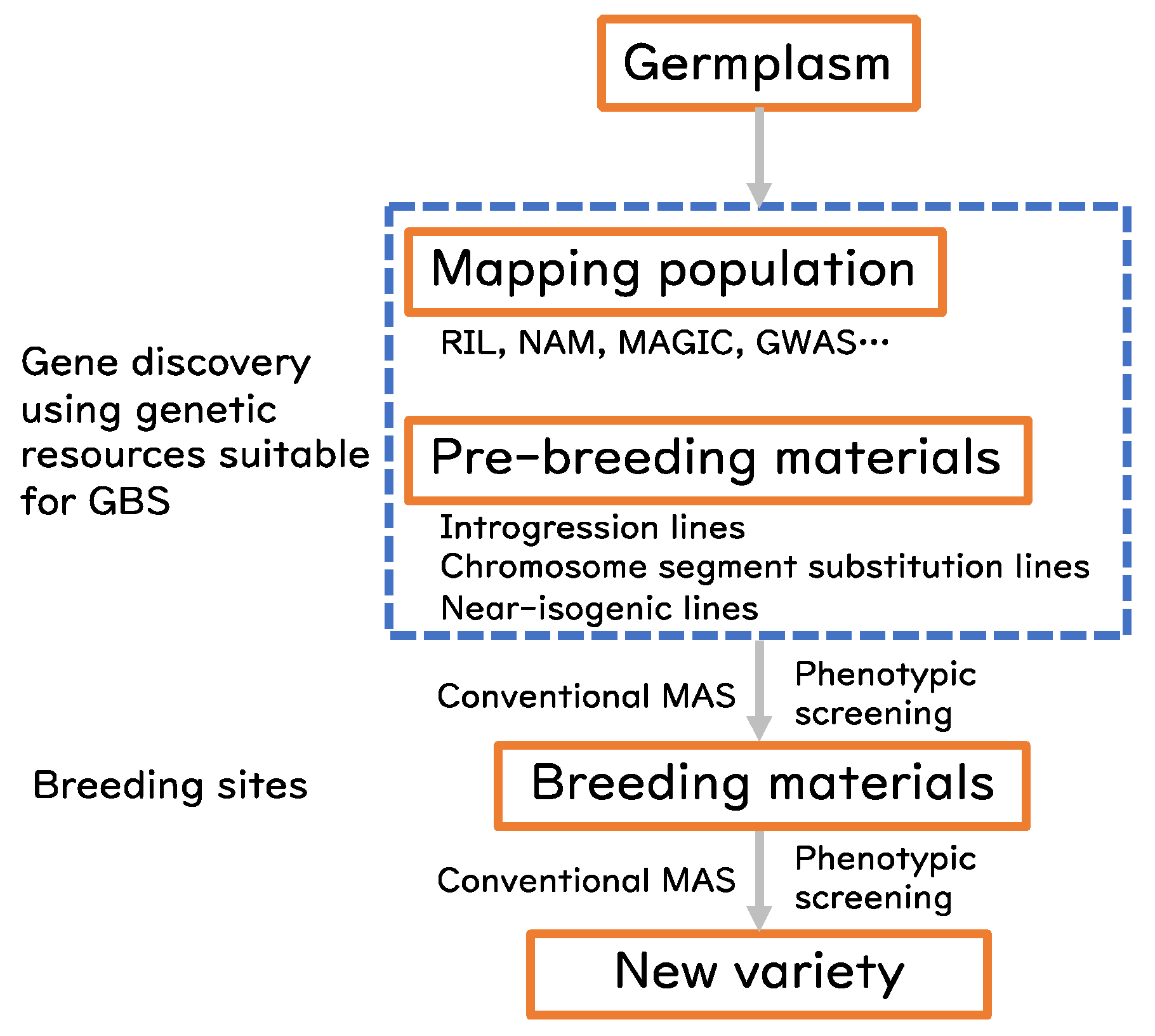 Life 12 01752 g001 Life 12 01752 g001