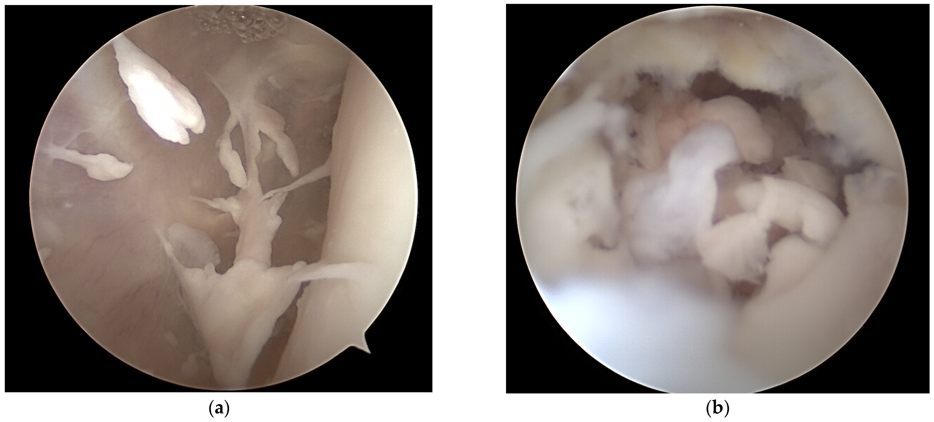 Life 12 01754 g002a Life 12 01754 g002a