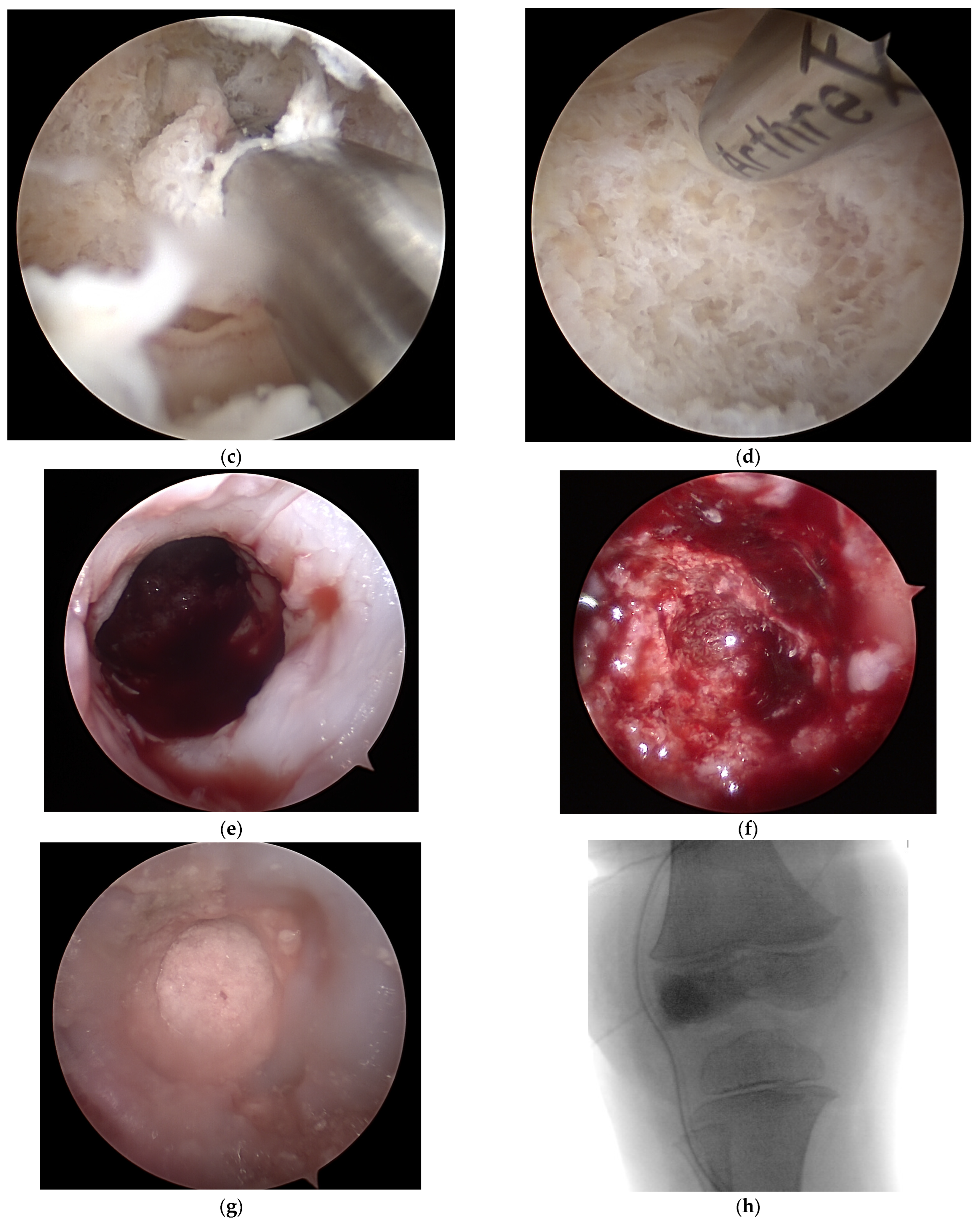 Life 12 01754 g002b Life 12 01754 g002b