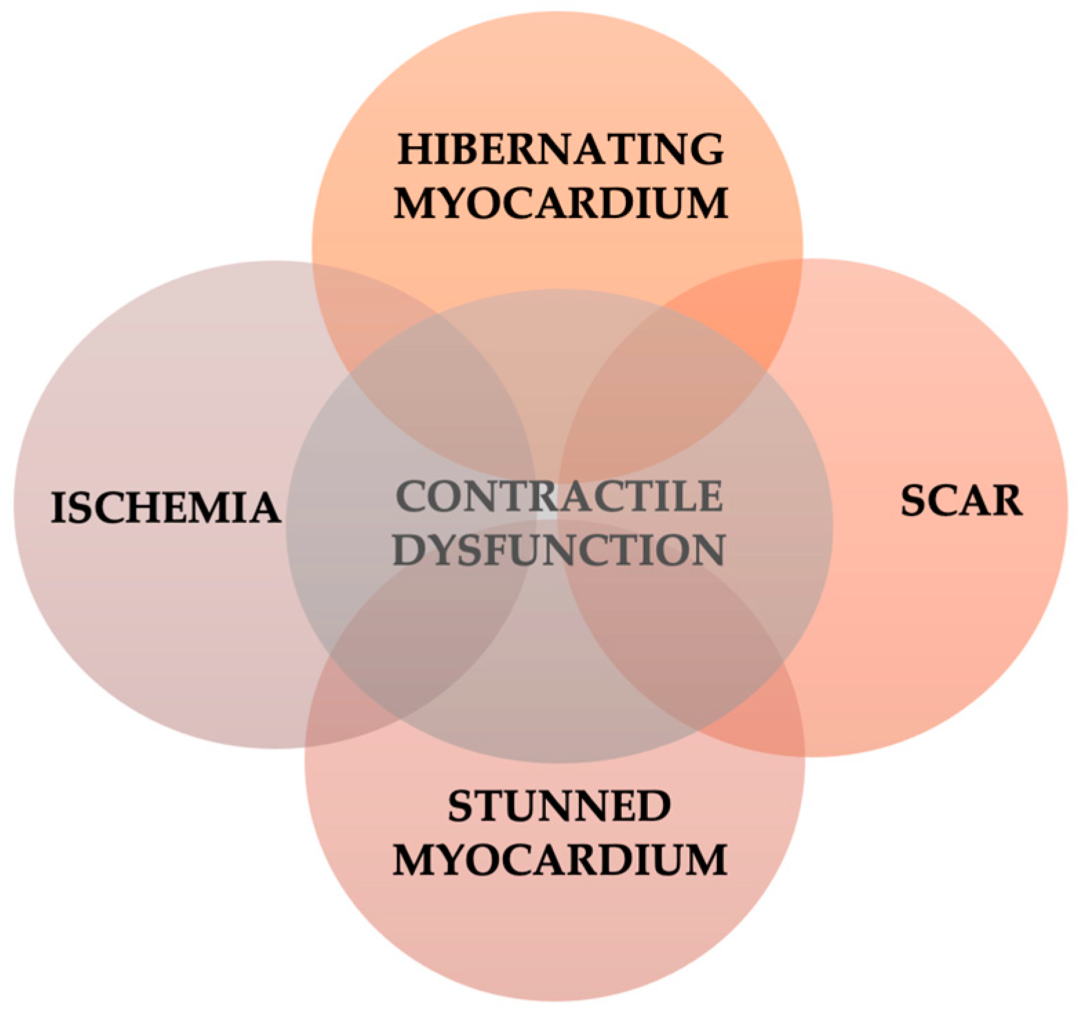 Life 12 01760 g001 Life 12 01760 g001