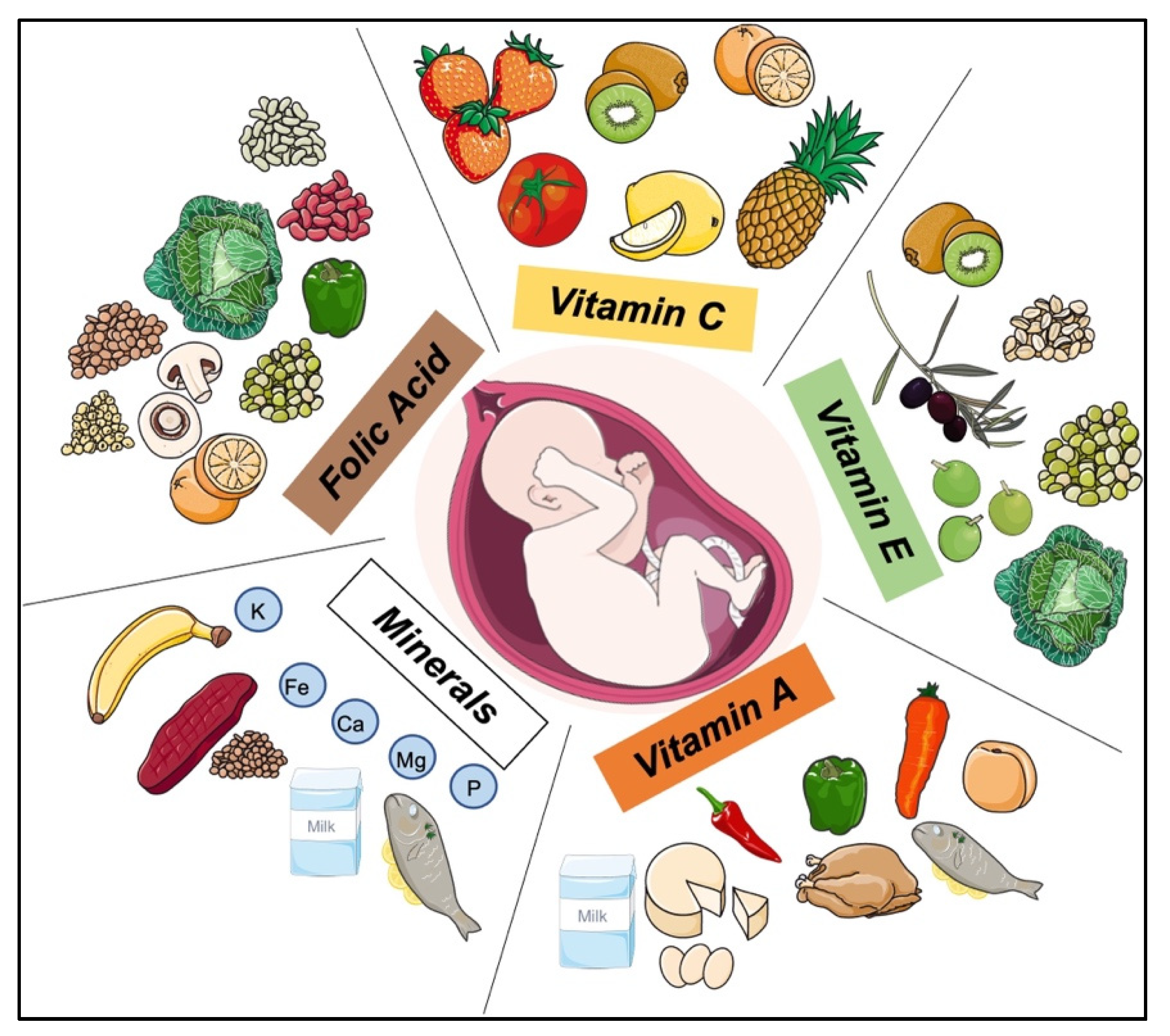 Life 12 01762 g002 Life 12 01762 g002