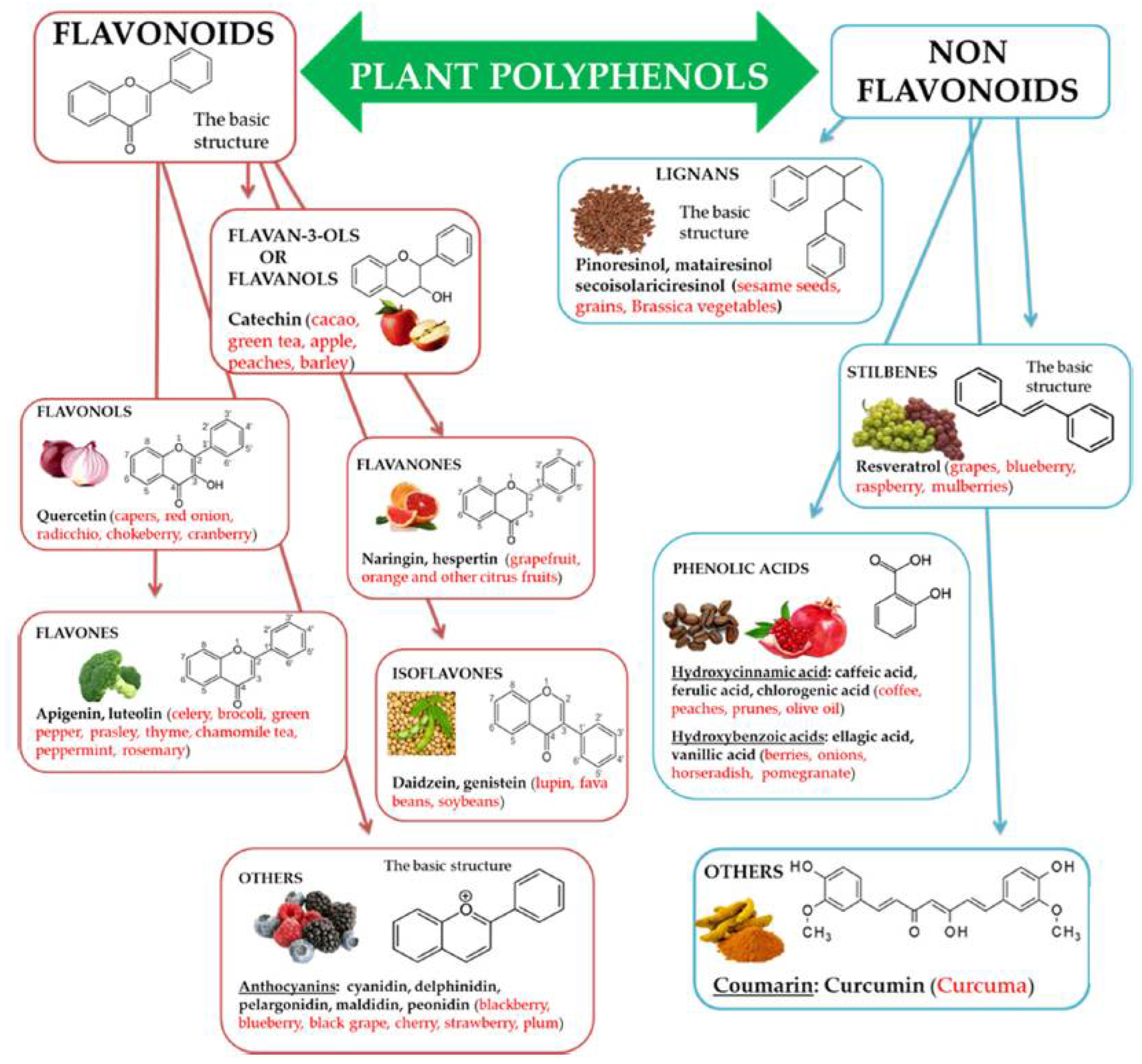 Life 12 01768 g001 Life 12 01768 g001