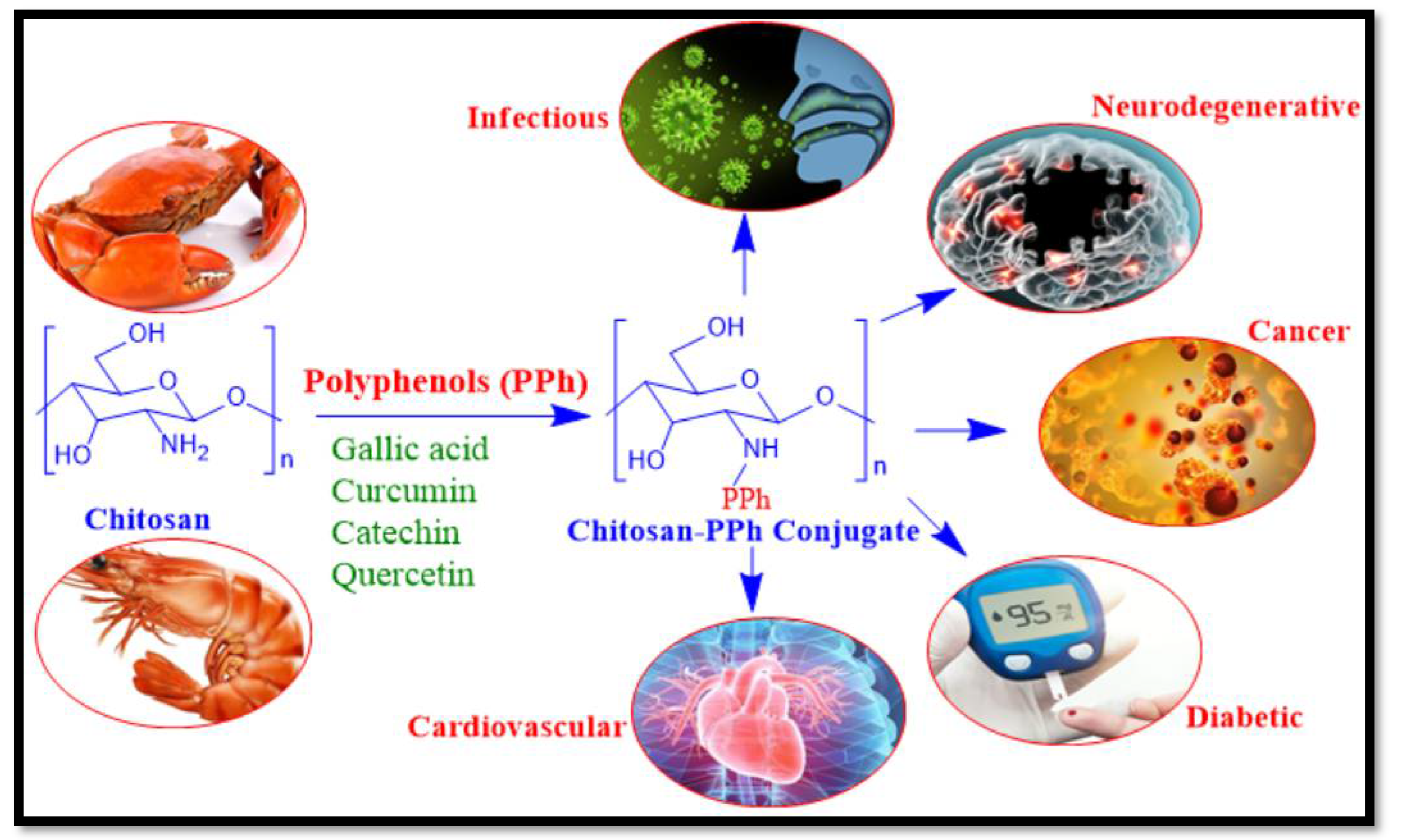 Life 12 01768 g006 Life 12 01768 g006