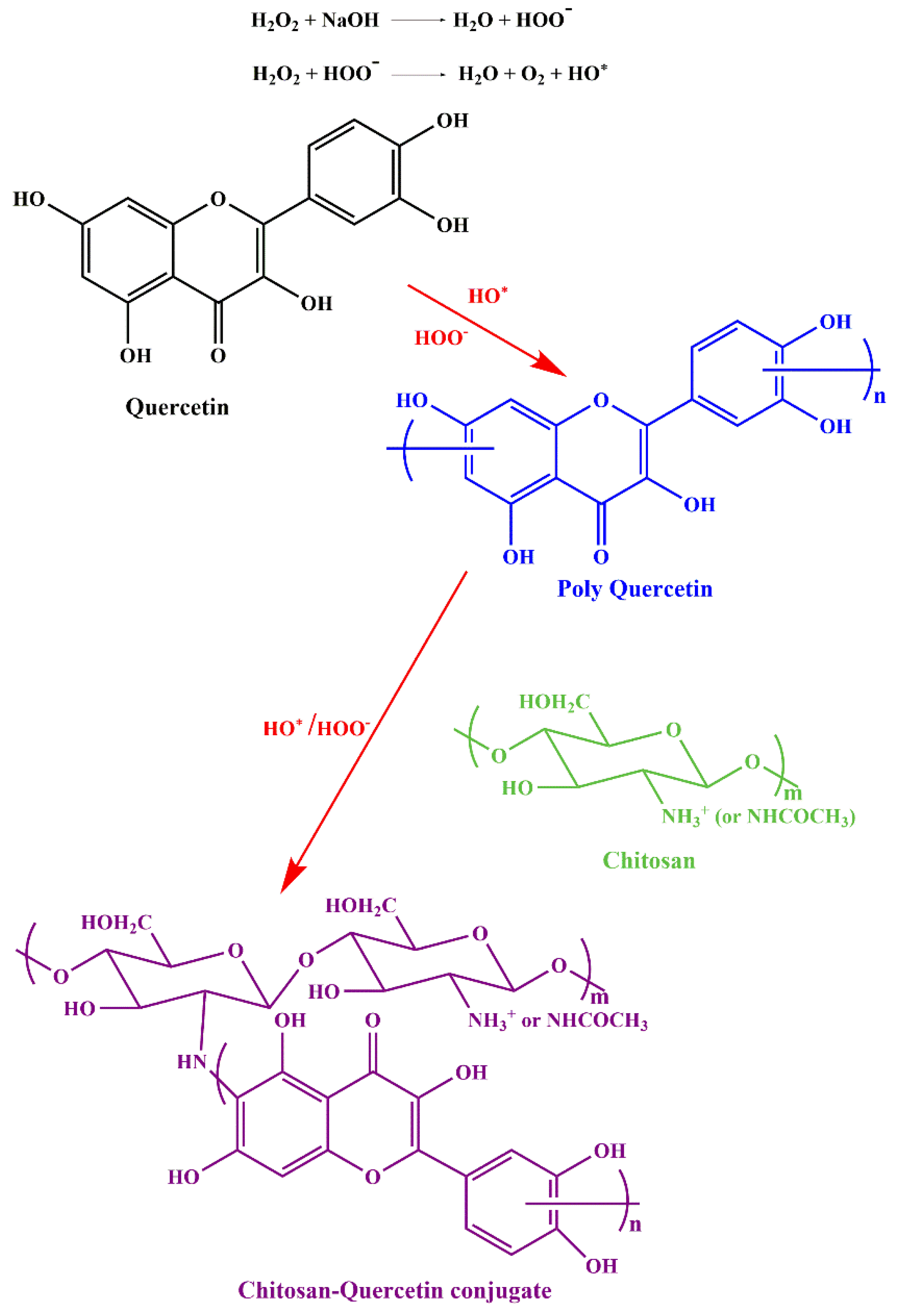 Life 12 01768 g018 Life 12 01768 g018
