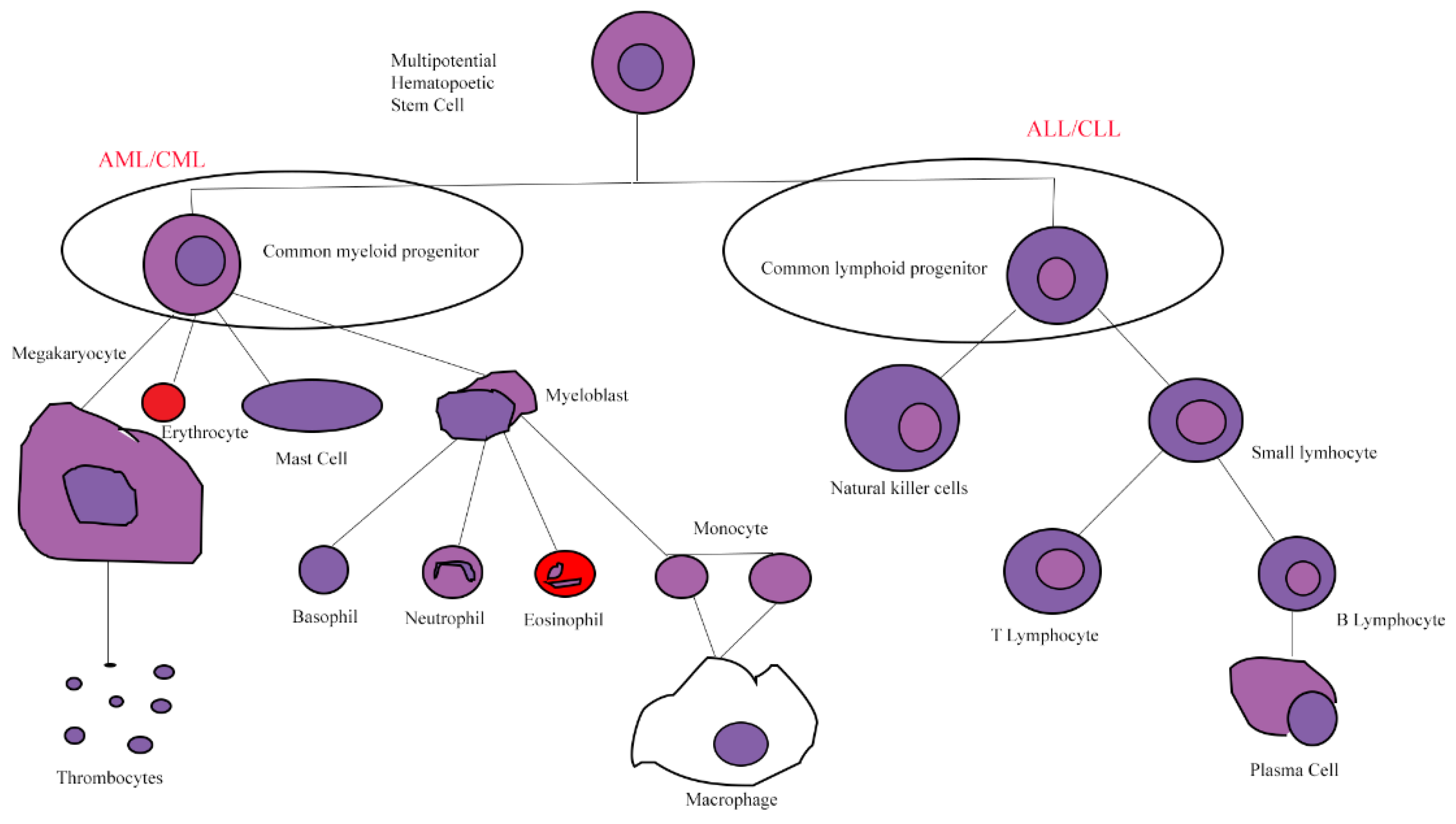 Life free full text diagnostic and therapeutic implications of long
