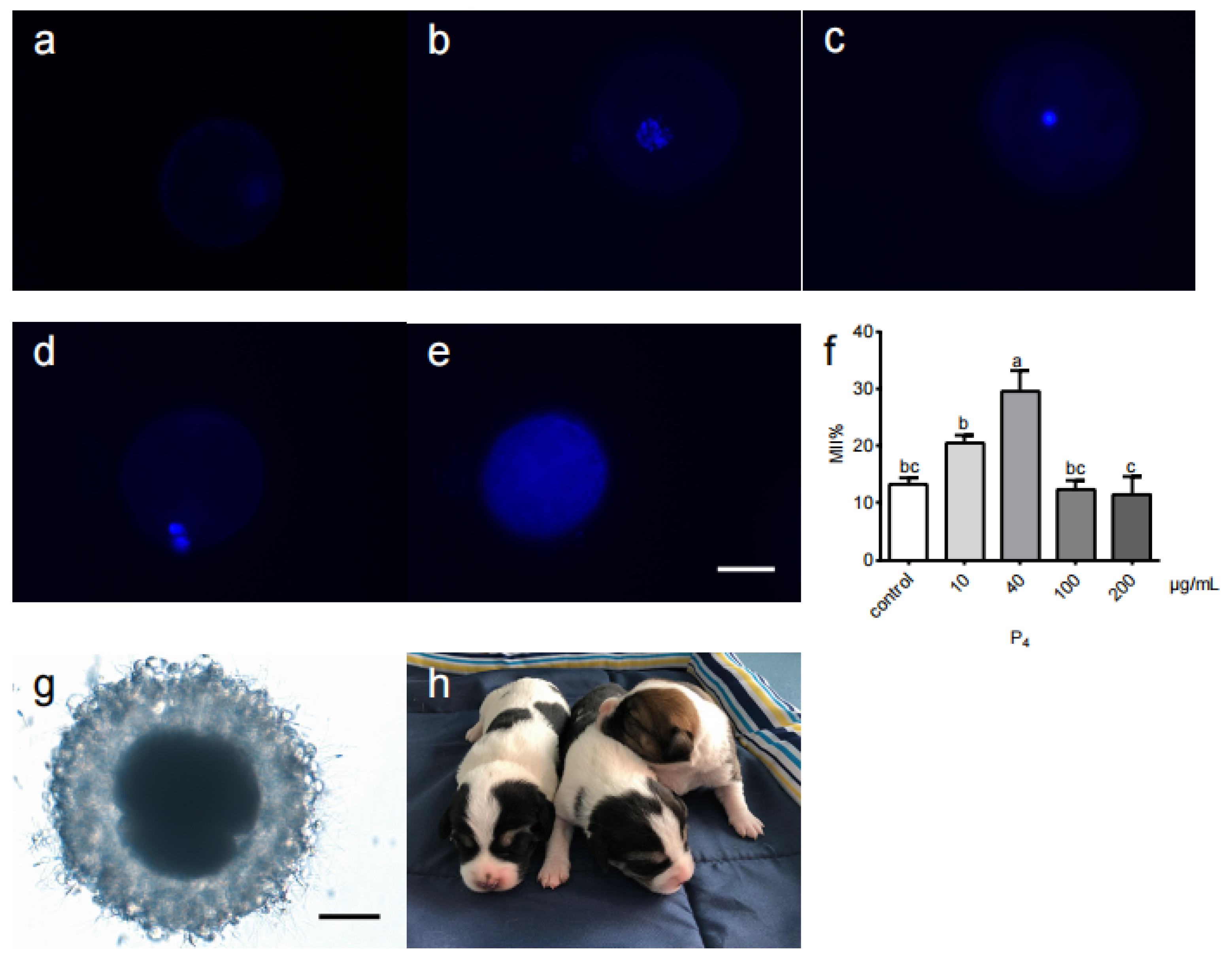 Life 12 01778 g001 Life 12 01778 g001