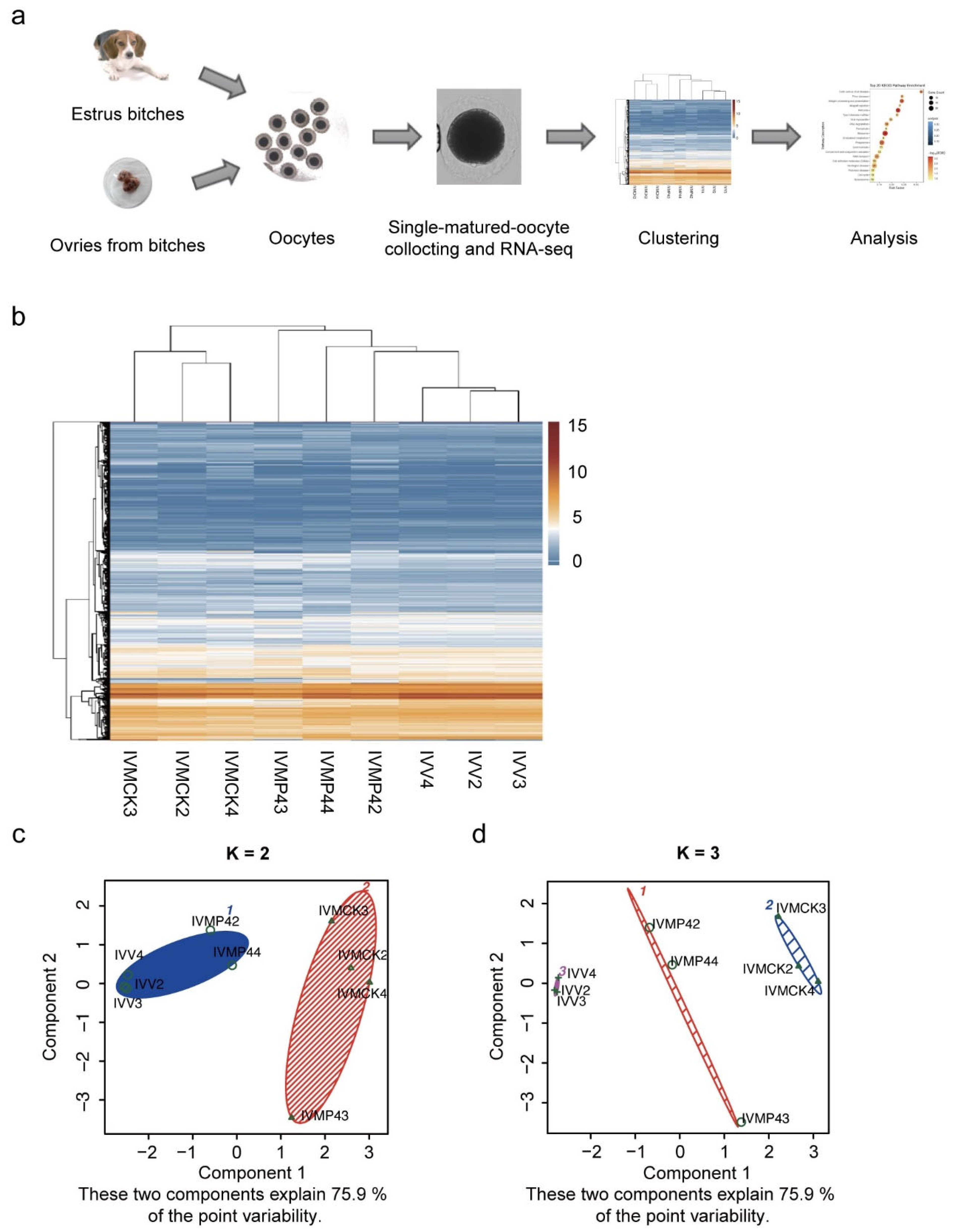 Life 12 01778 g002 Life 12 01778 g002