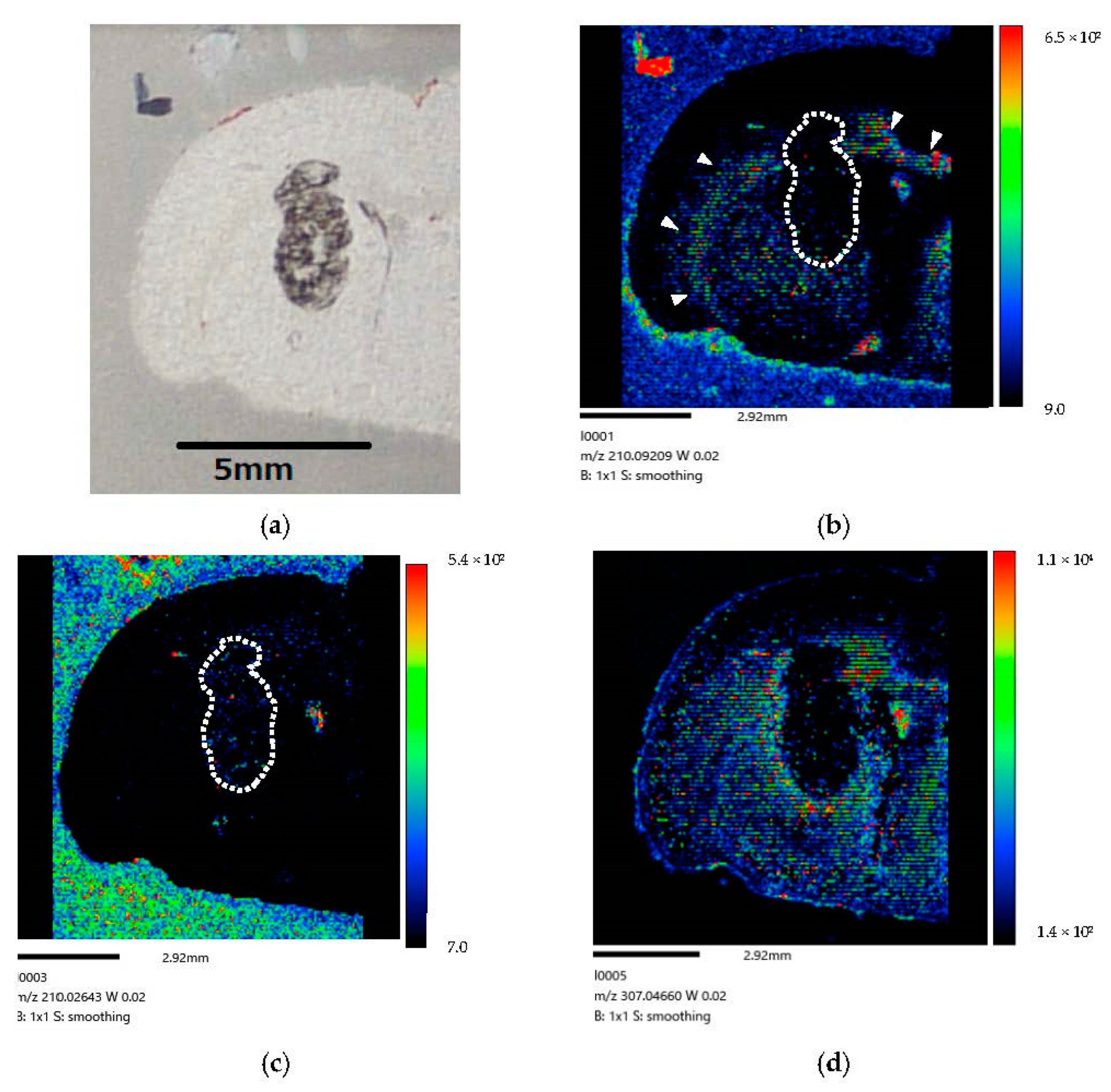 Life 12 01786 g007 Life 12 01786 g007