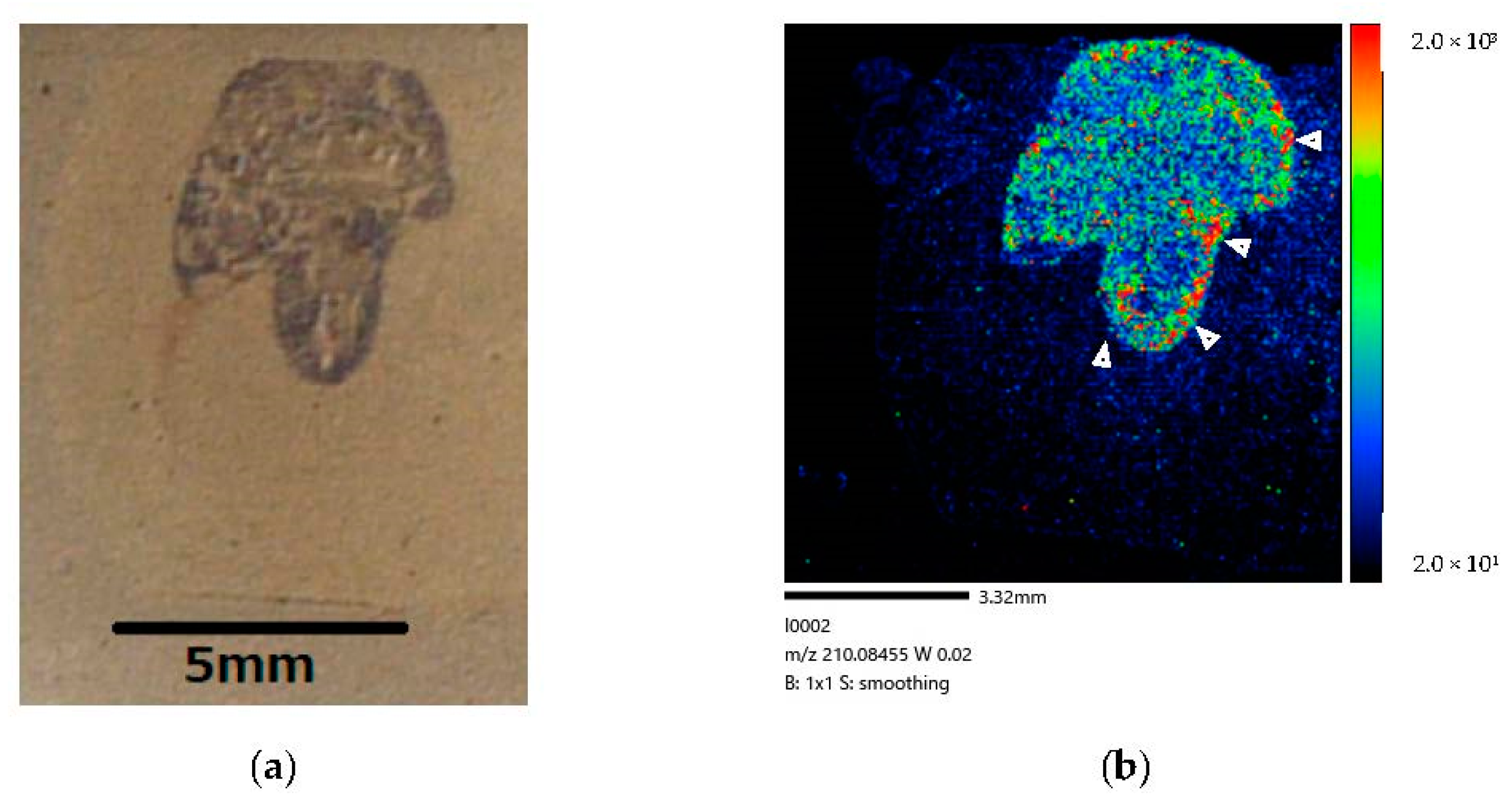 Life 12 01786 g008 Life 12 01786 g008