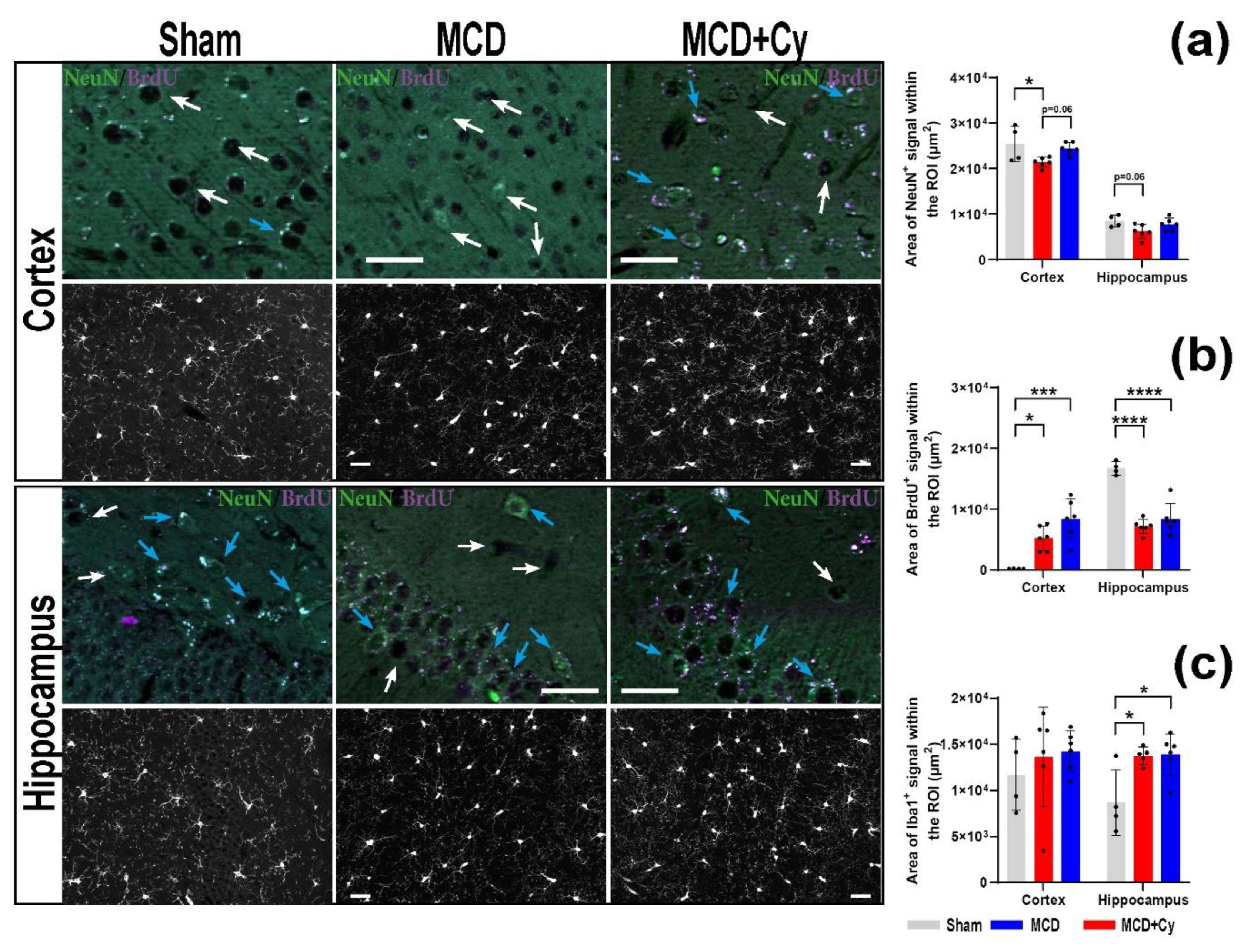 Life 12 01791 g004 Life 12 01791 g004