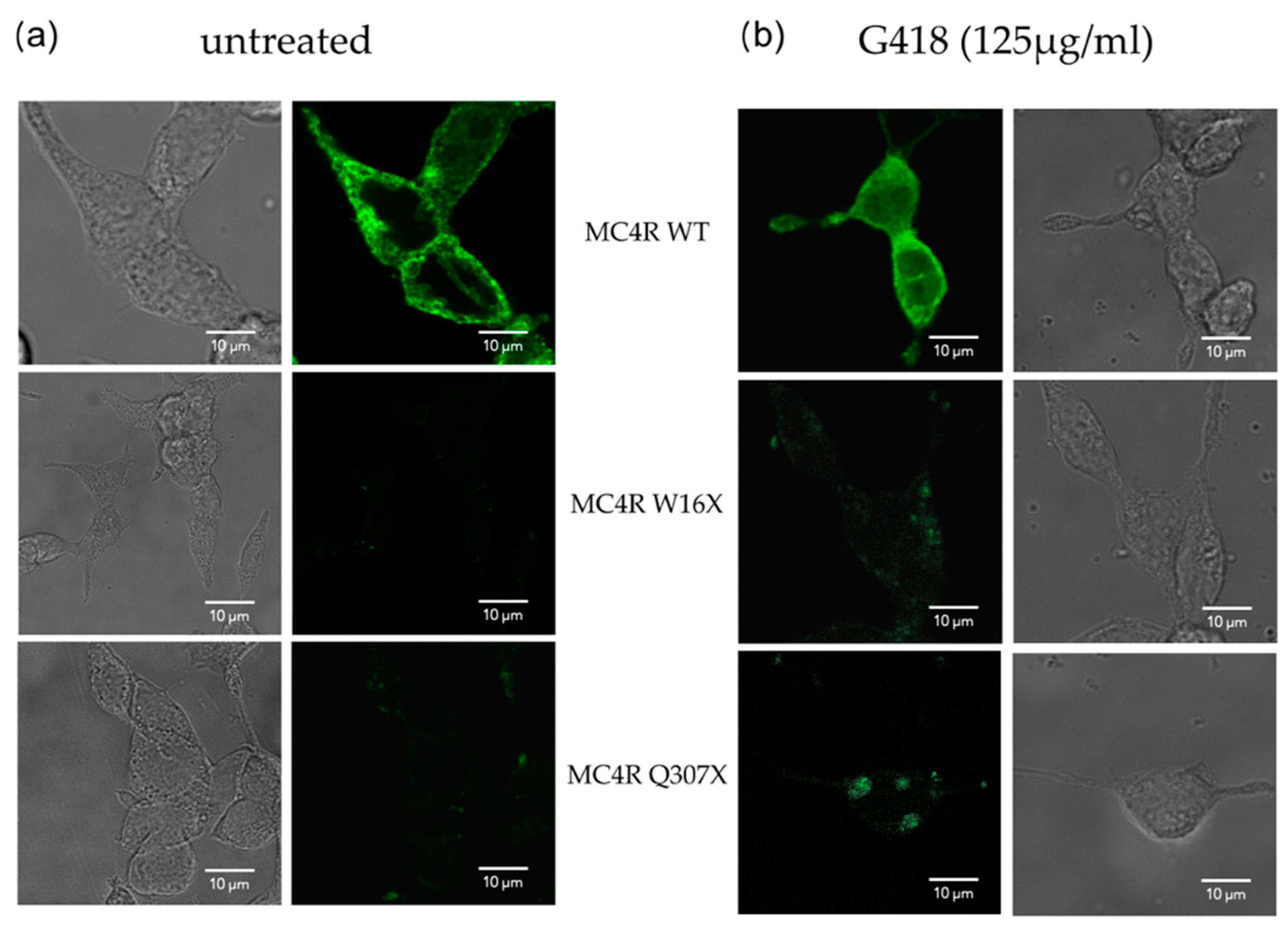 Life 12 01793 g002 Life 12 01793 g002