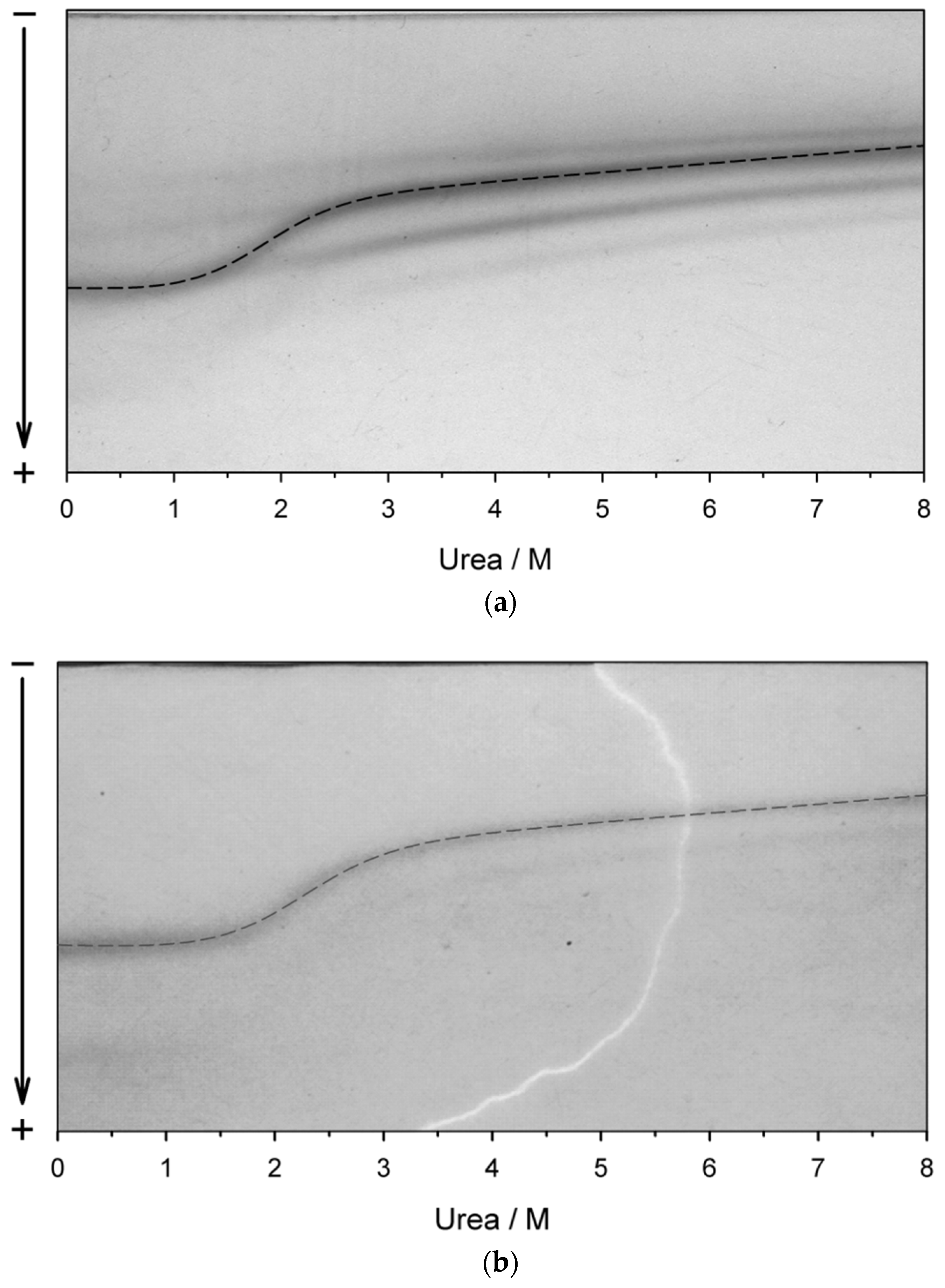 Life 12 01802 g002 Life 12 01802 g002