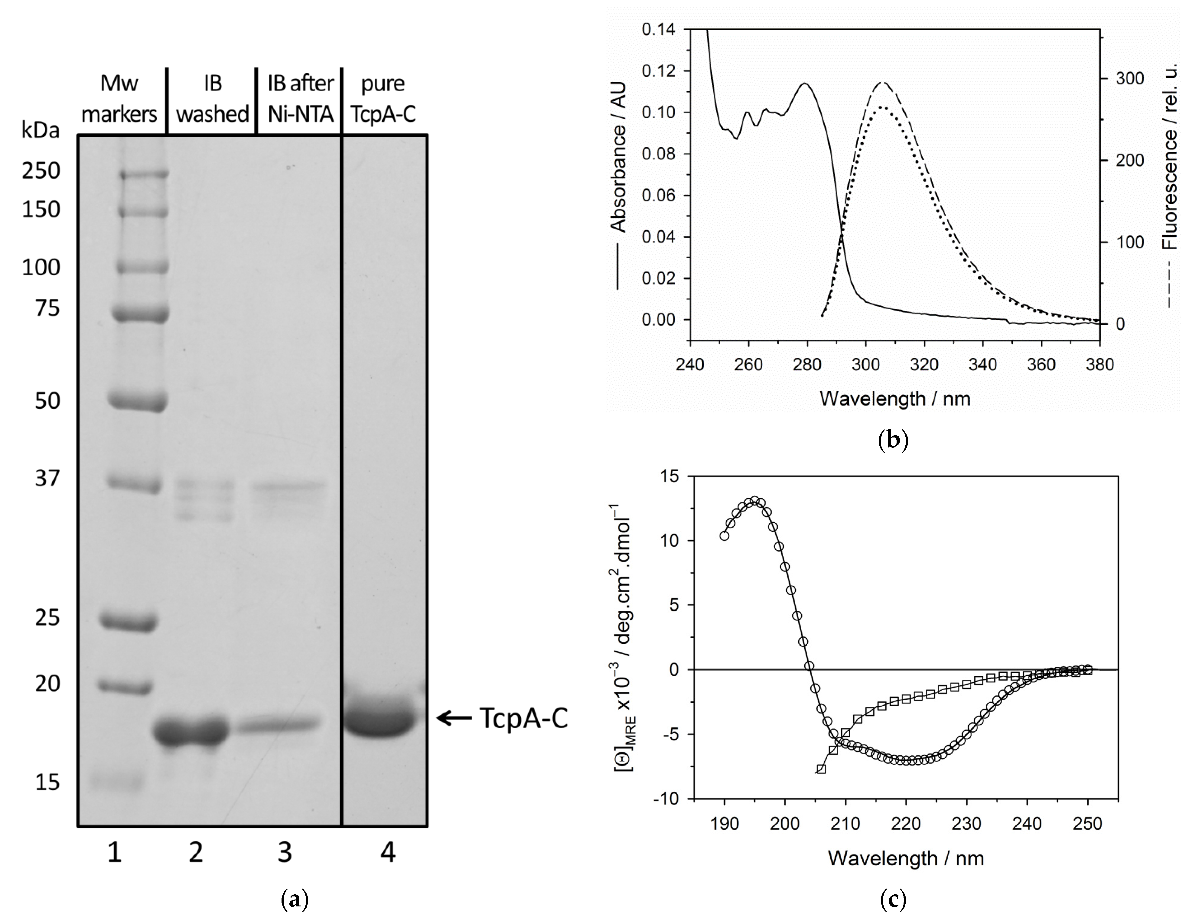 Life 12 01802 g004 Life 12 01802 g004